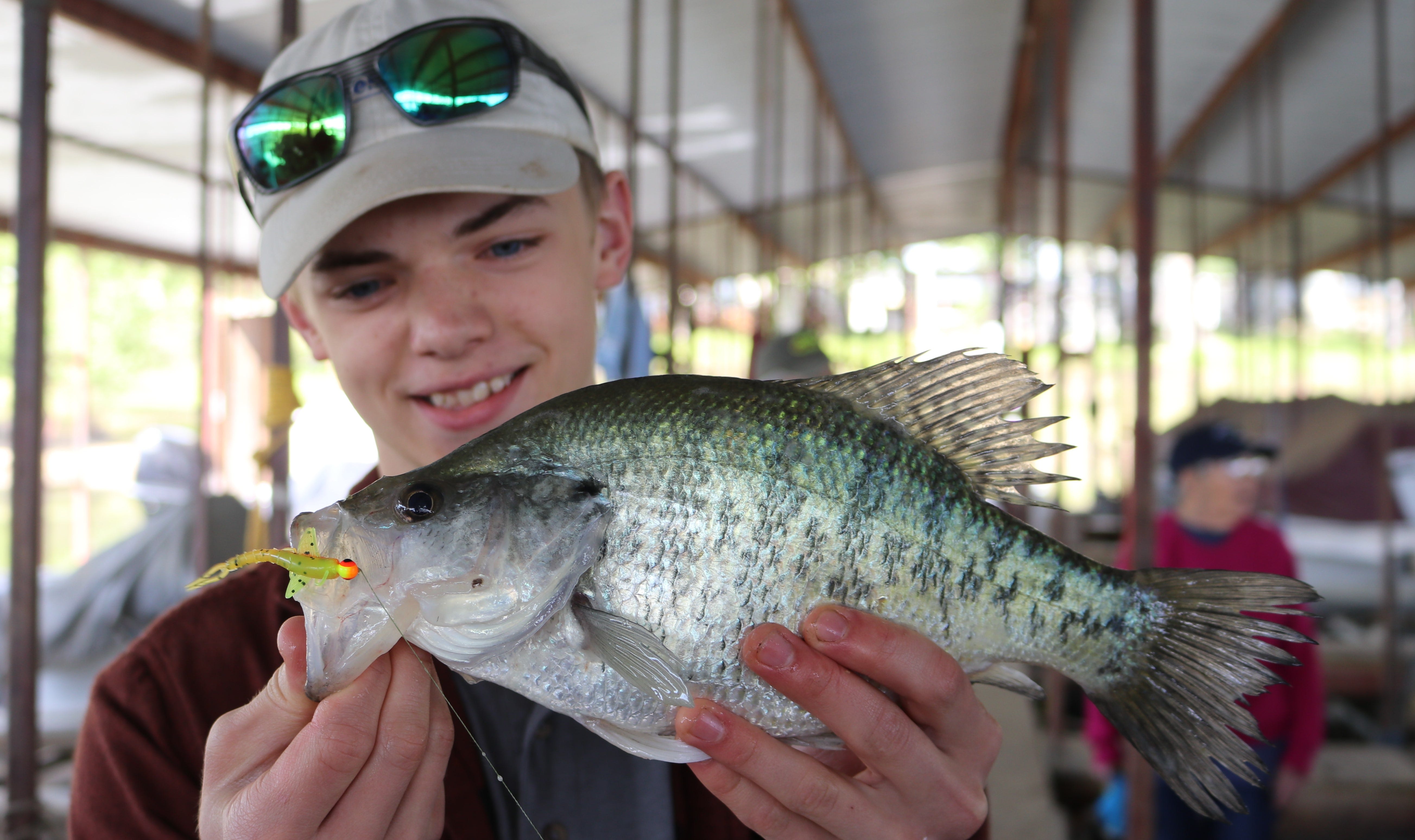 crappie from marina dock