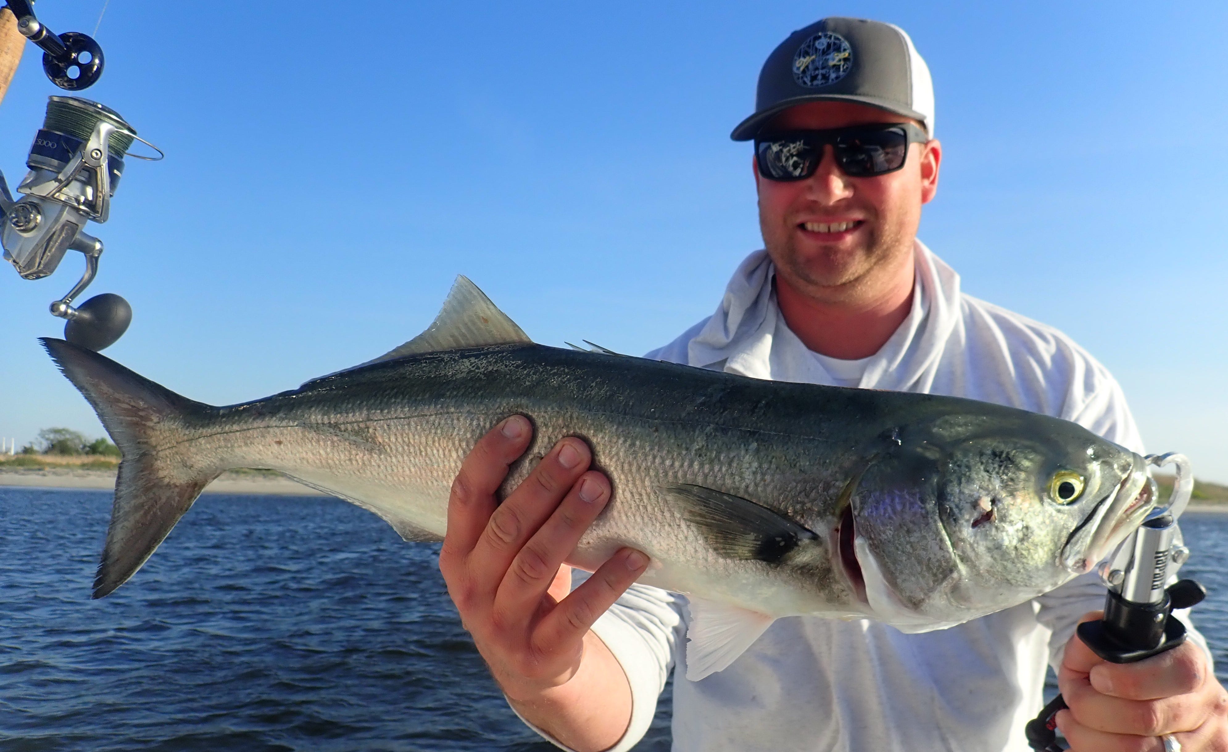 bluefish catch