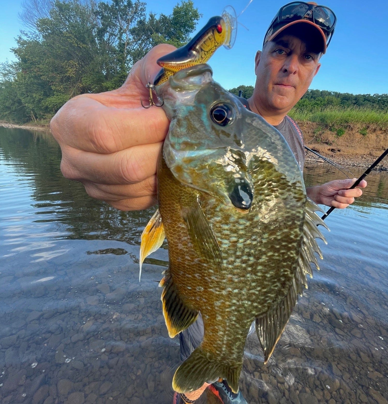 green sunfish wade fishing catch