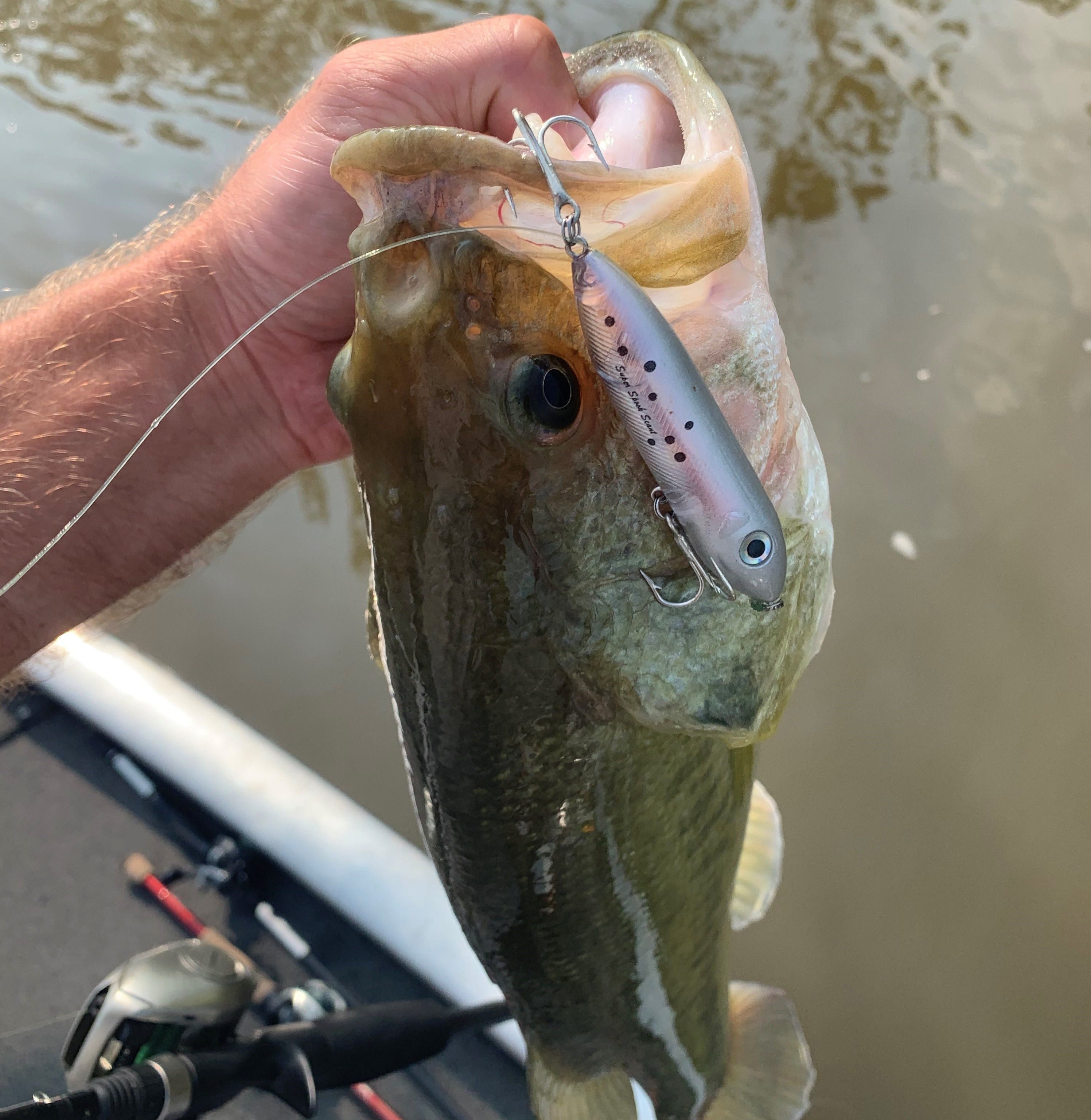 finesse topwater lure bass