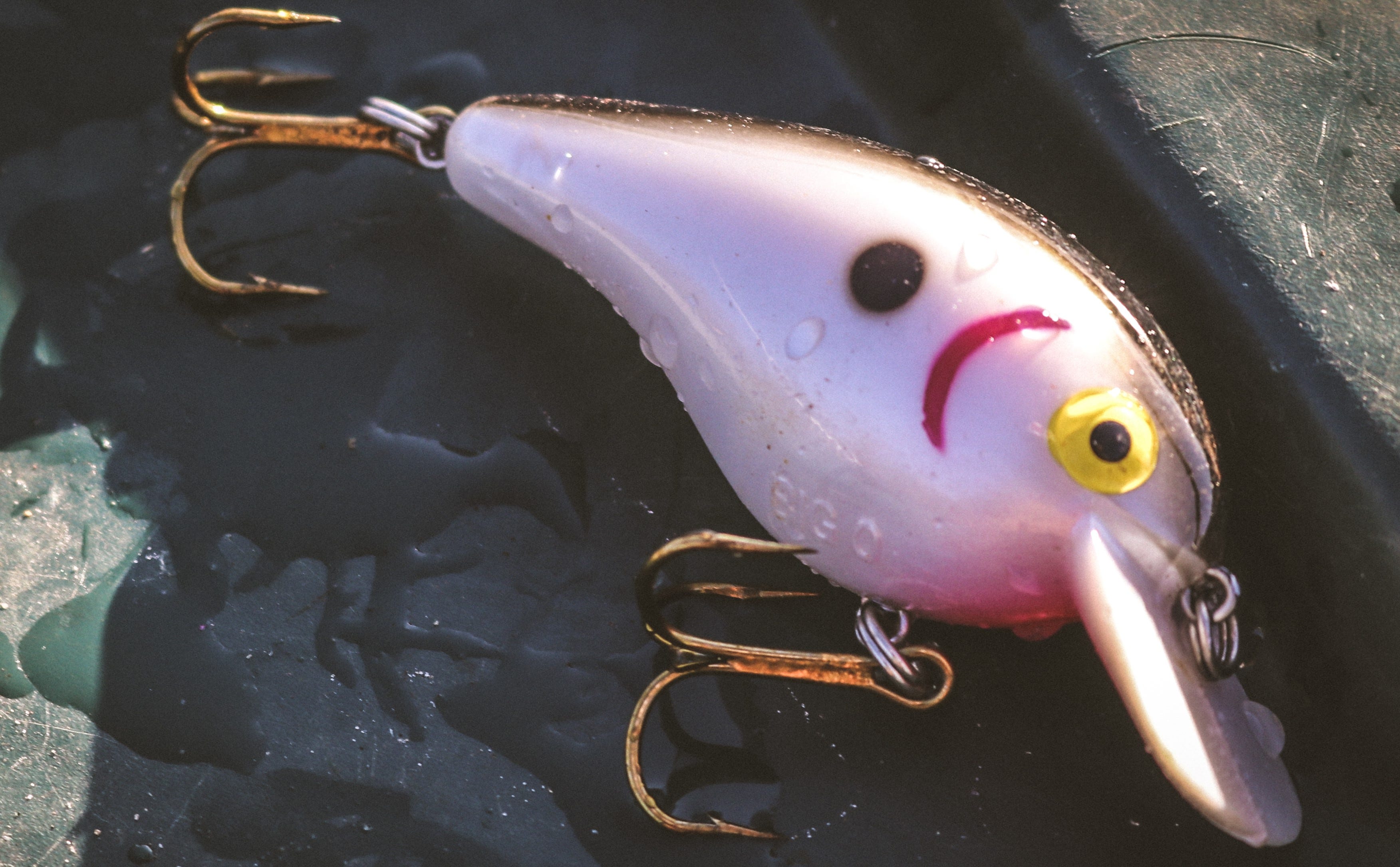 Square Bill Crankbait Guide