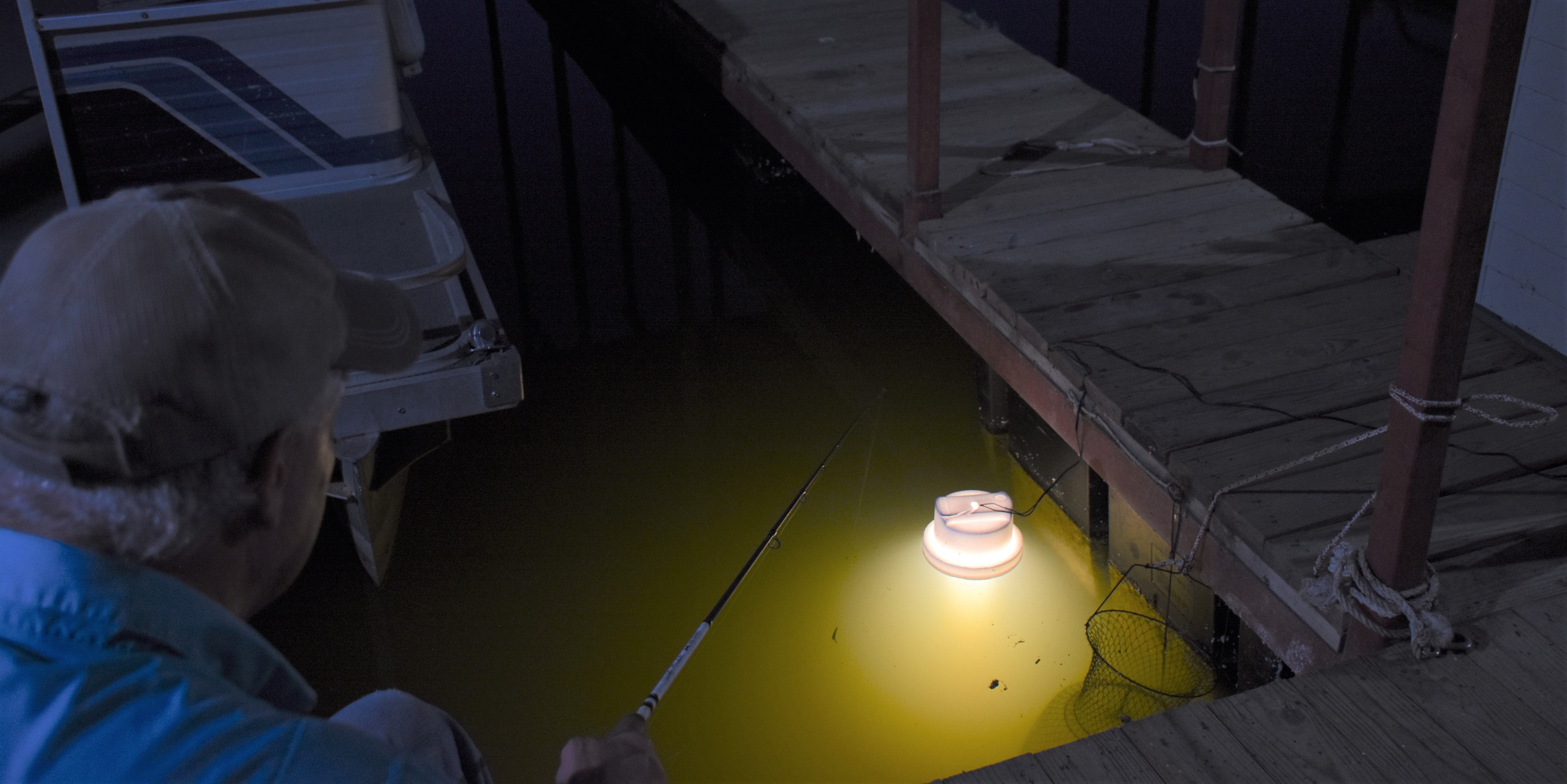 crappie light for night fishing