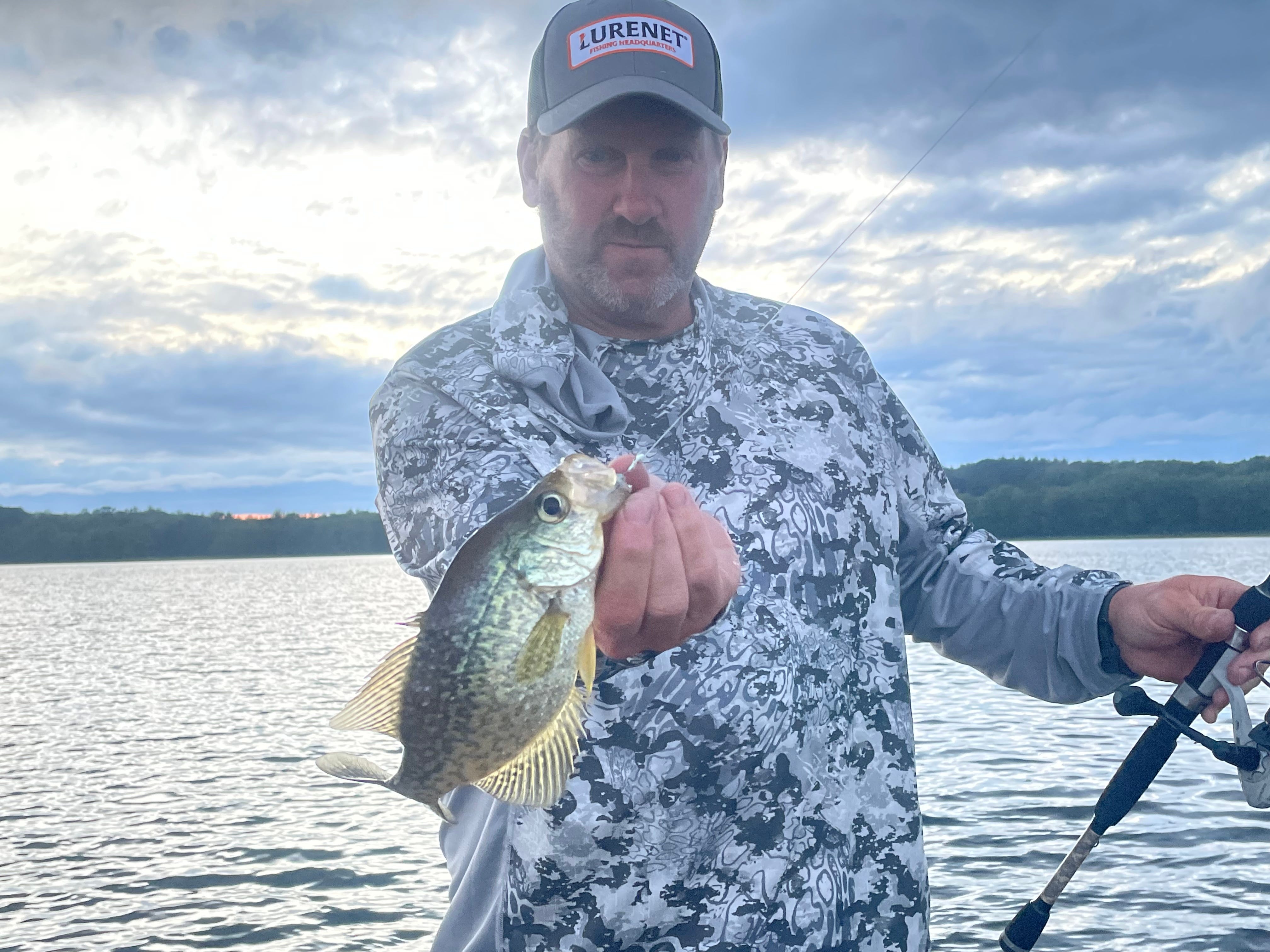 Maine crappie