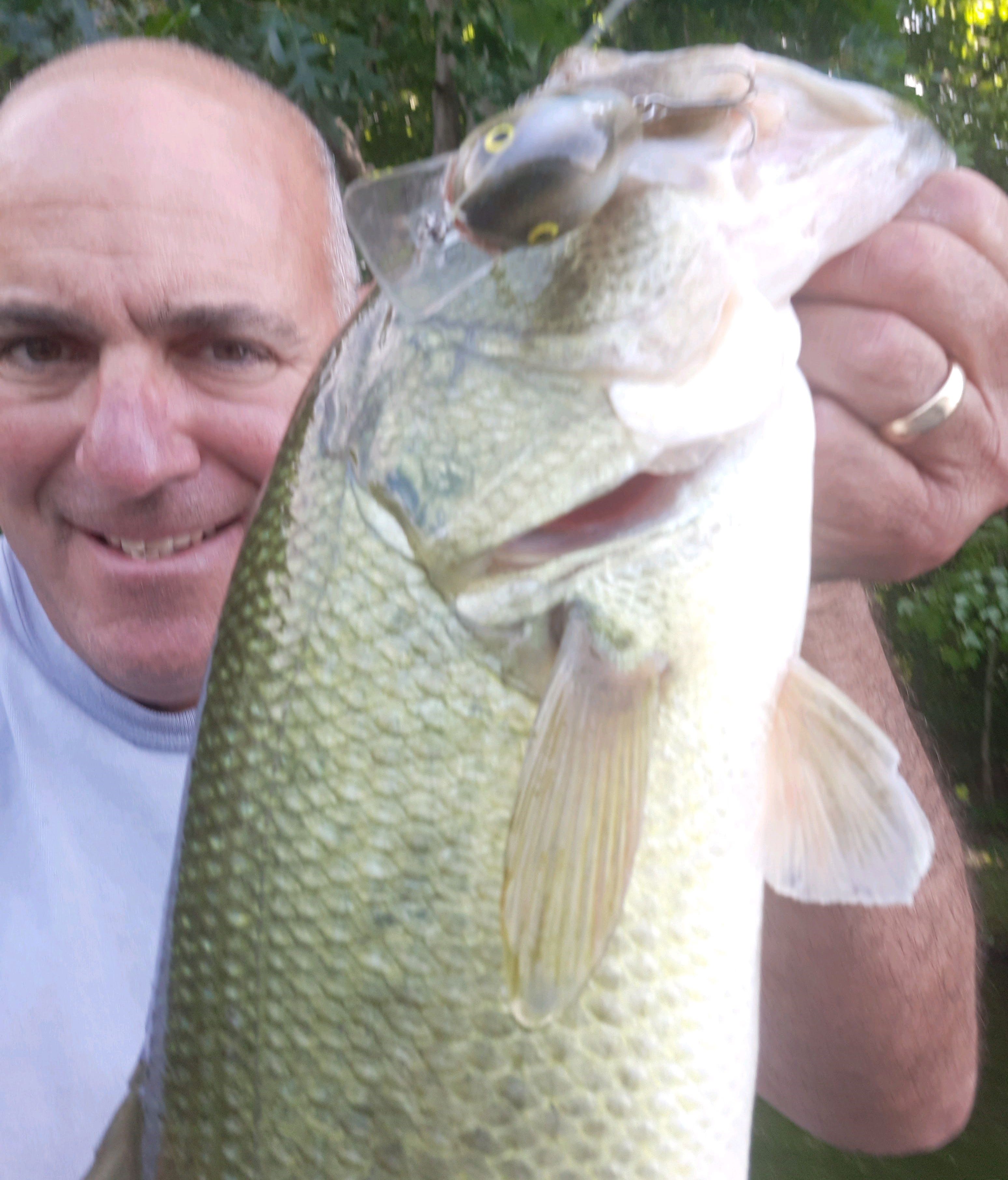 5 Ways to Catch More Summer Bass on Squarebill Crankbaits - Wired2Fish