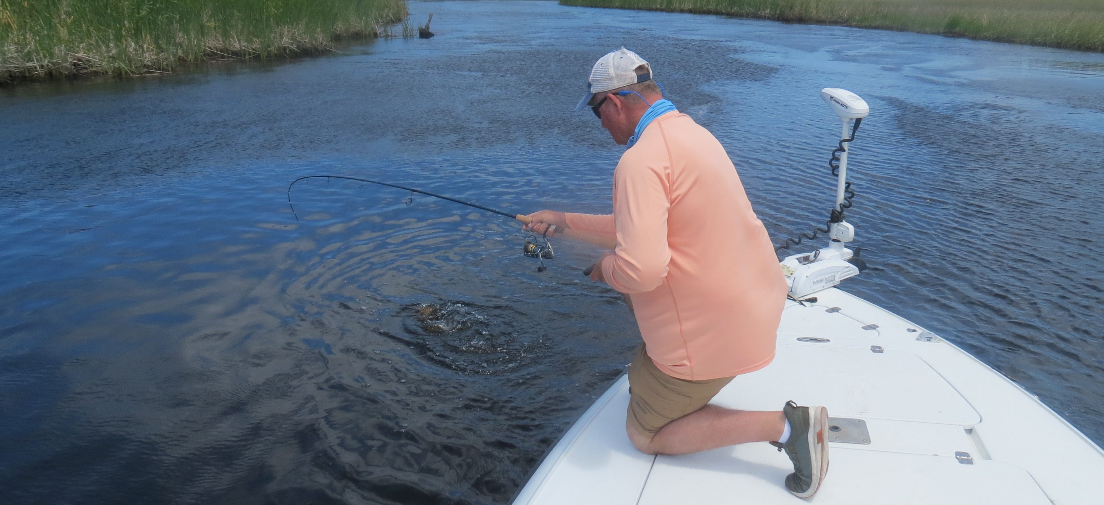 fighting fish in tidal creek