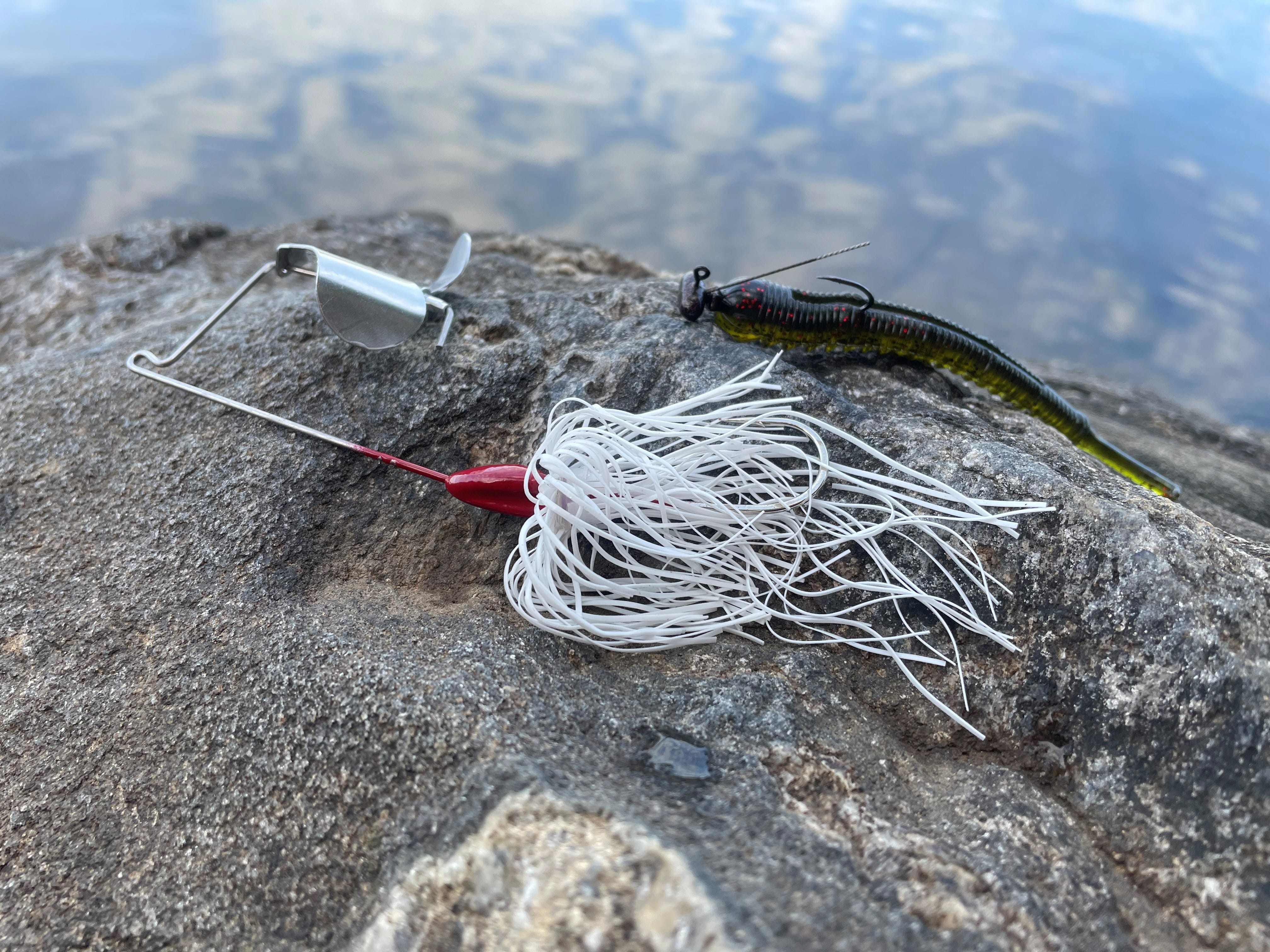 buzzbait and Ned Rig