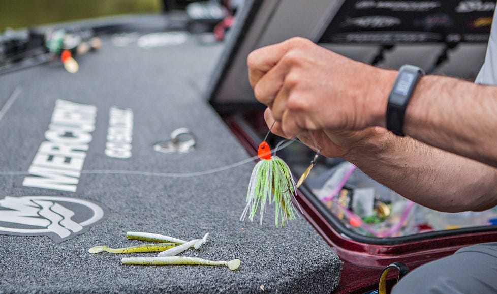 How to Choose the Best Spinnerbait for Bass, Every Time