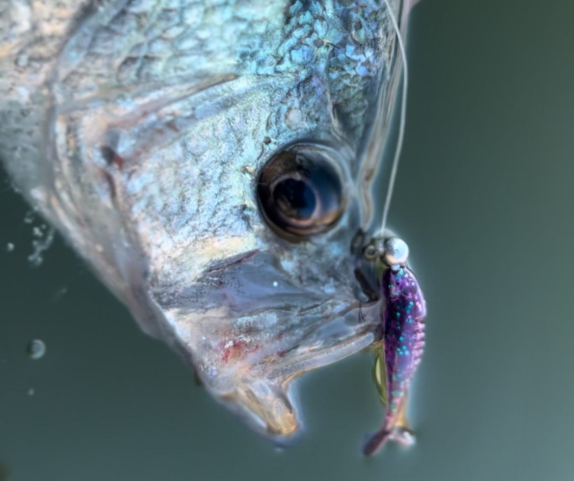 How To SHOOT DOCKS For CRAPPIE! 