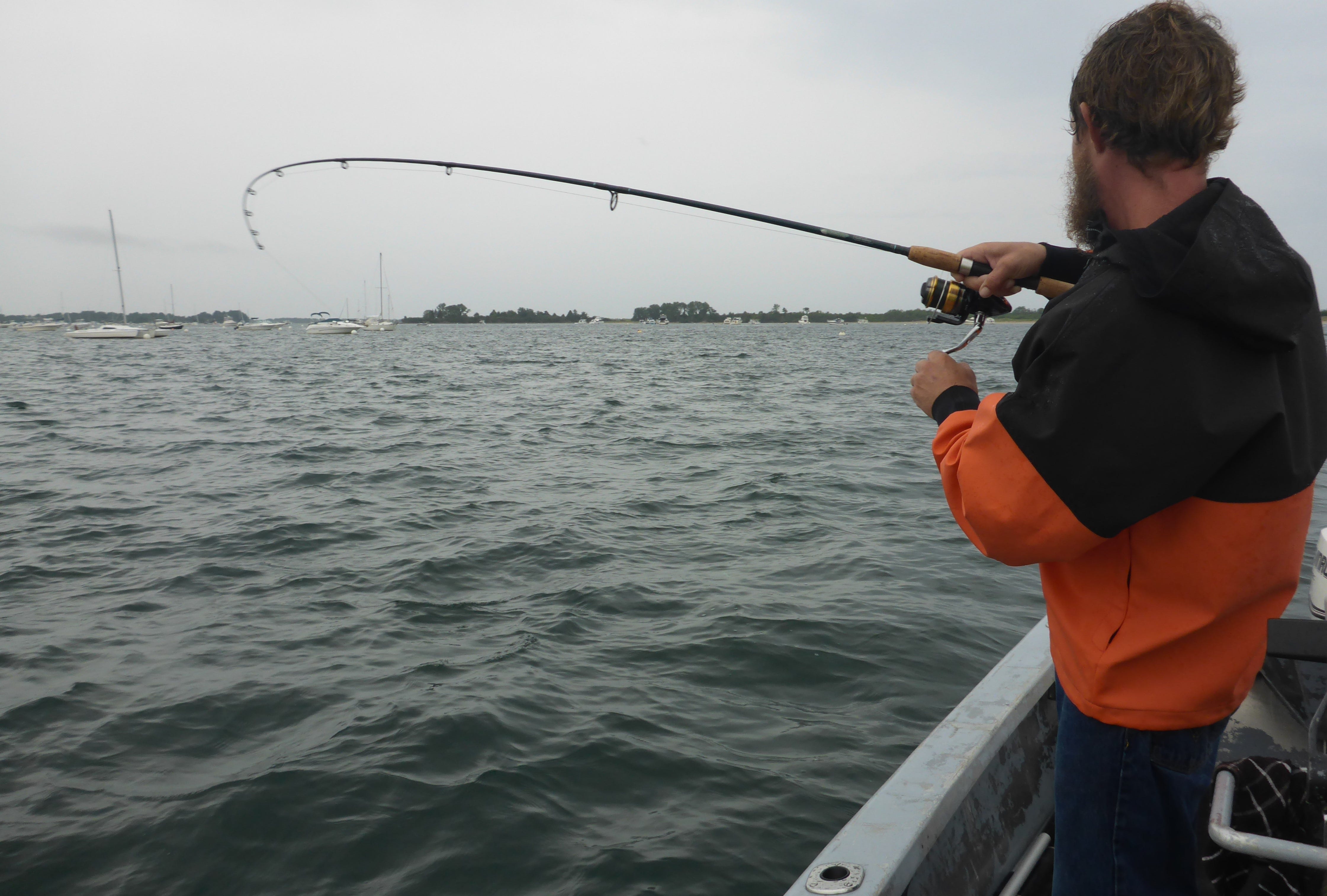 Walk the Dog Topwater Tactics for East Coast Stripers