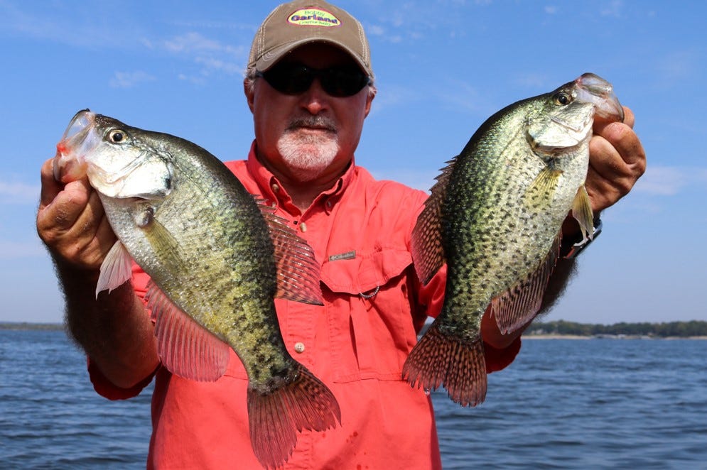 black and white crappie