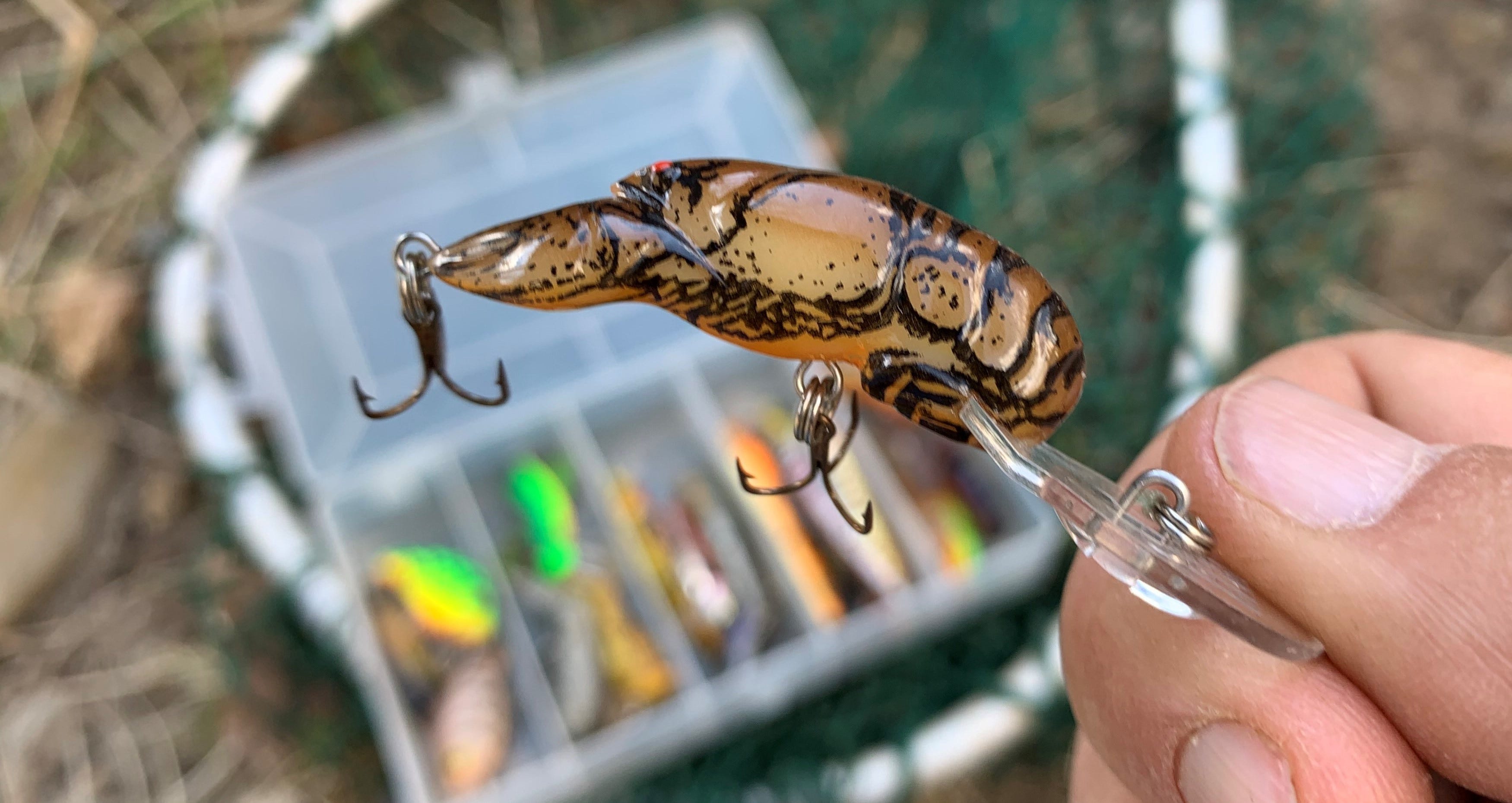 Stream Trout Lures You Should Not Overlook