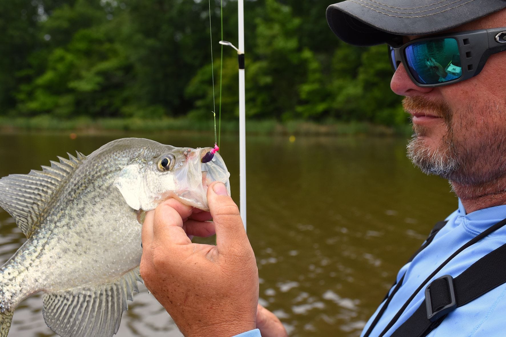 summer crappie catch