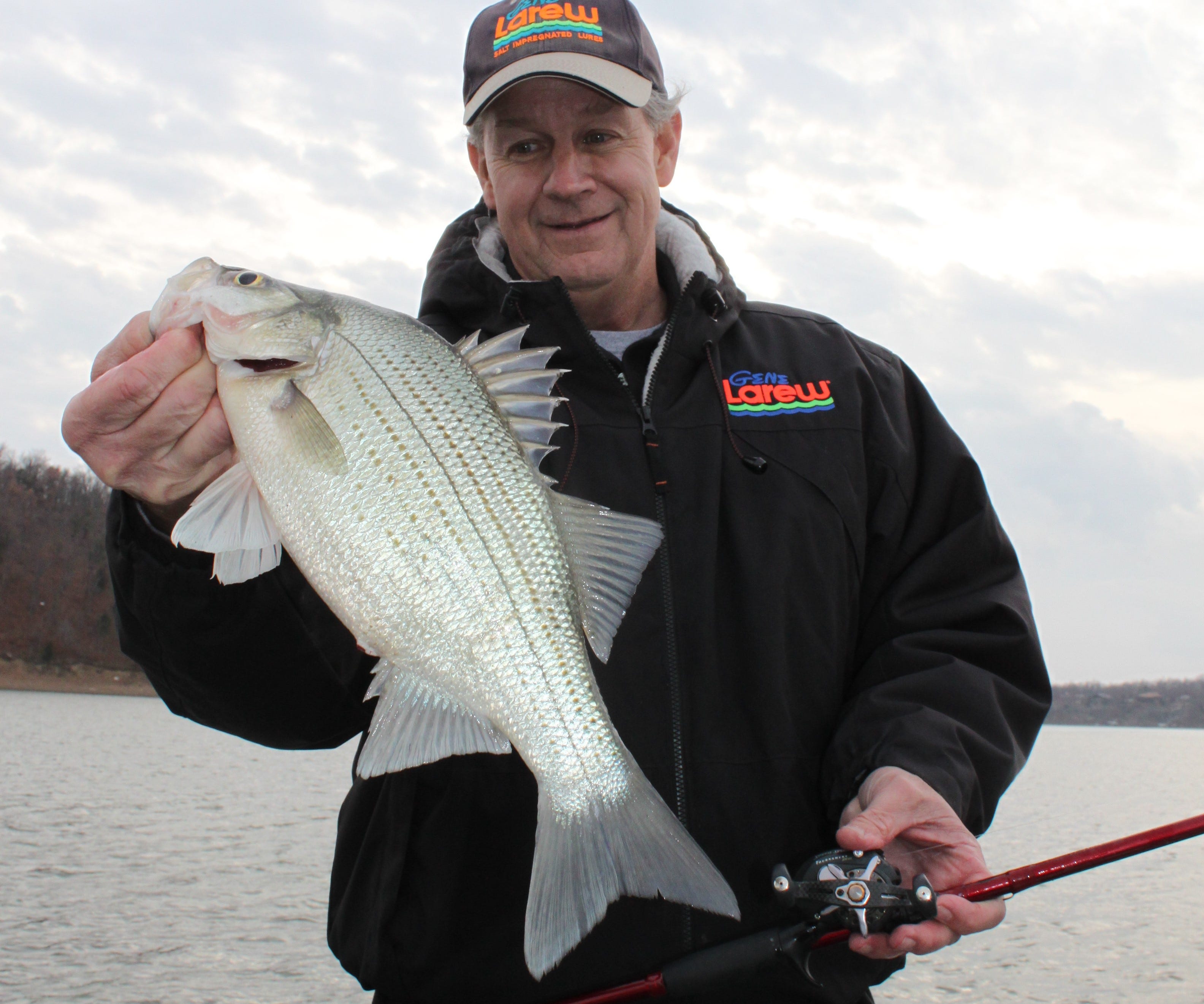 winter white bass