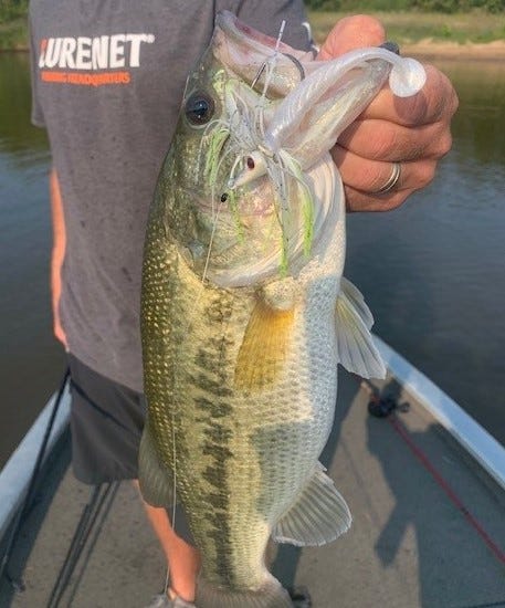 swim jig largemouth bass