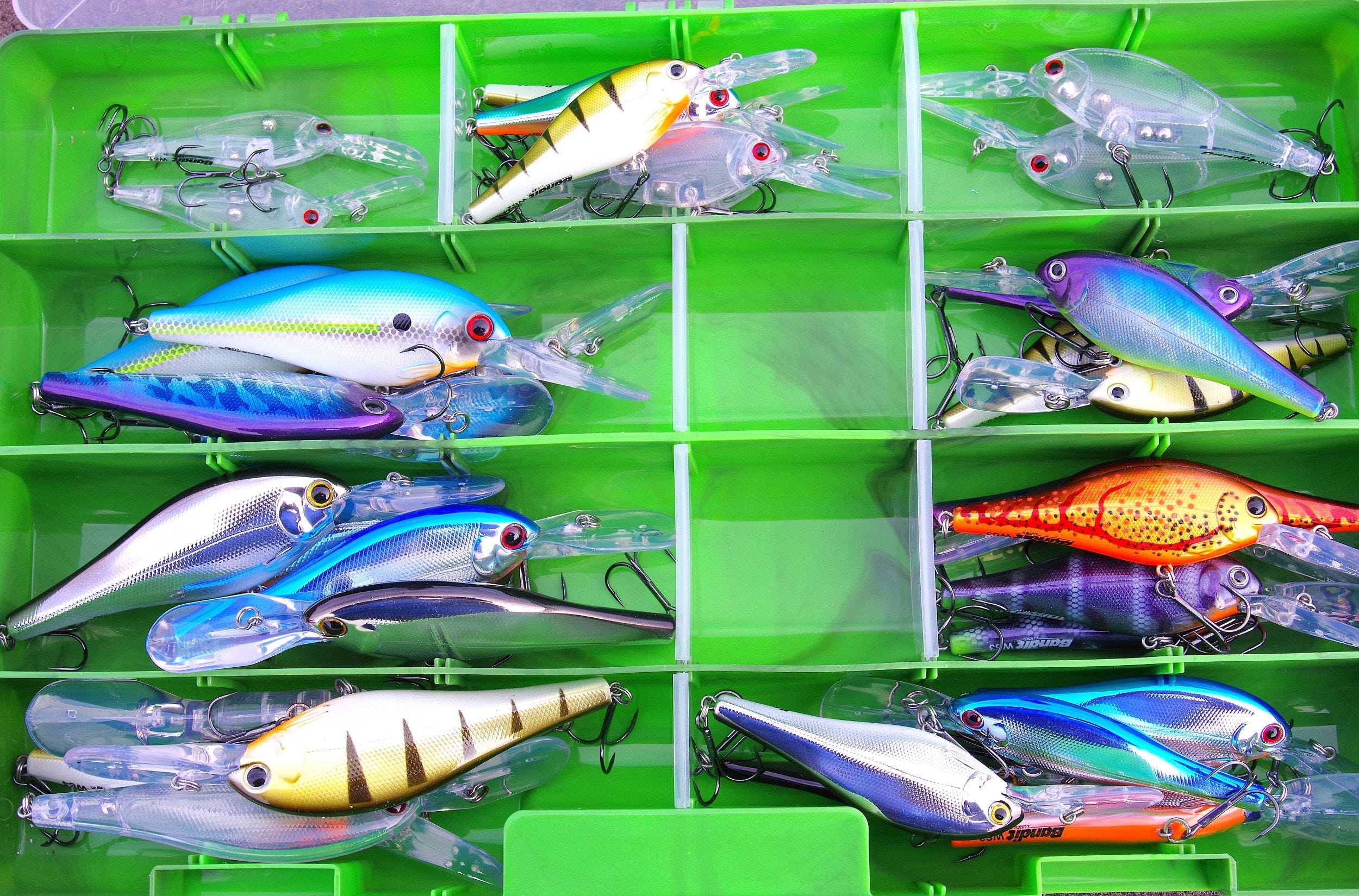 Bandit Walleye Shad Selection