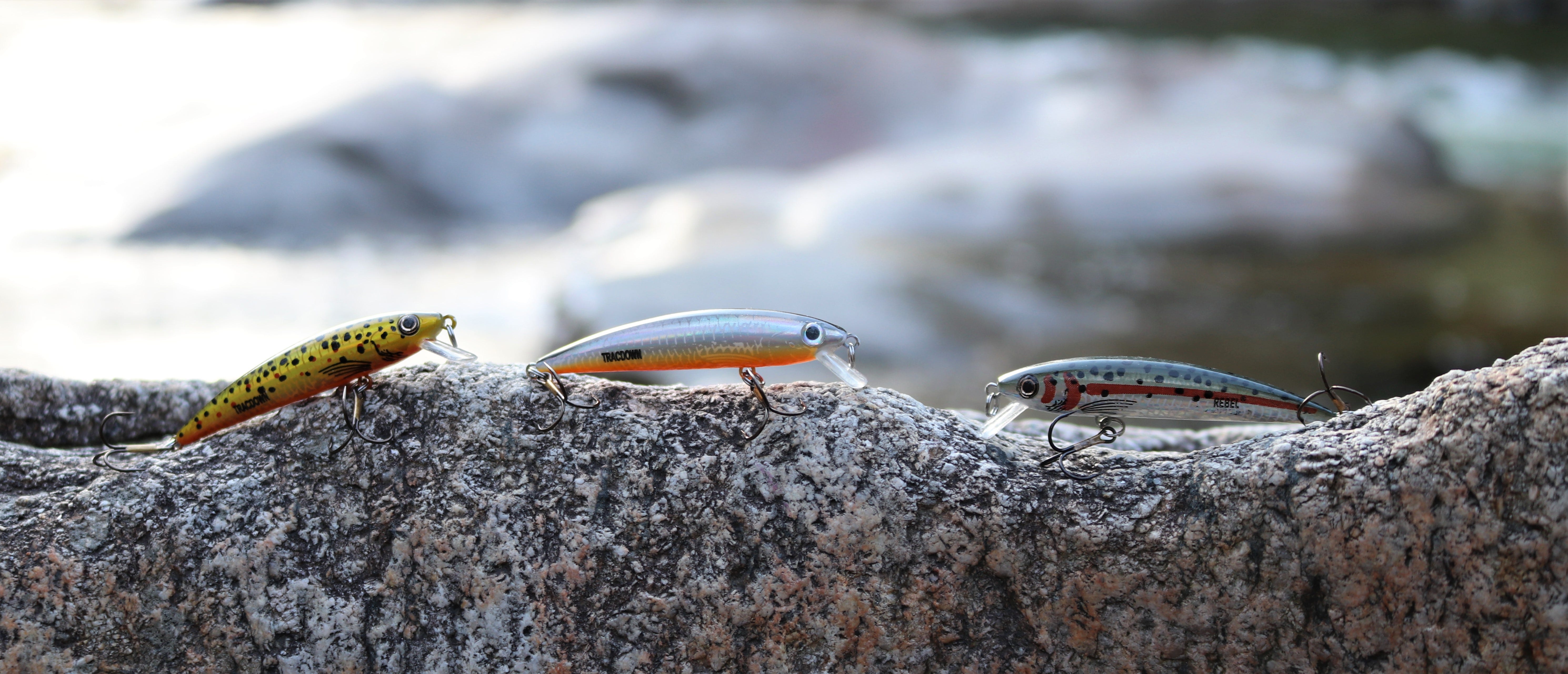 Rebel Tracdown Ghost Minnows