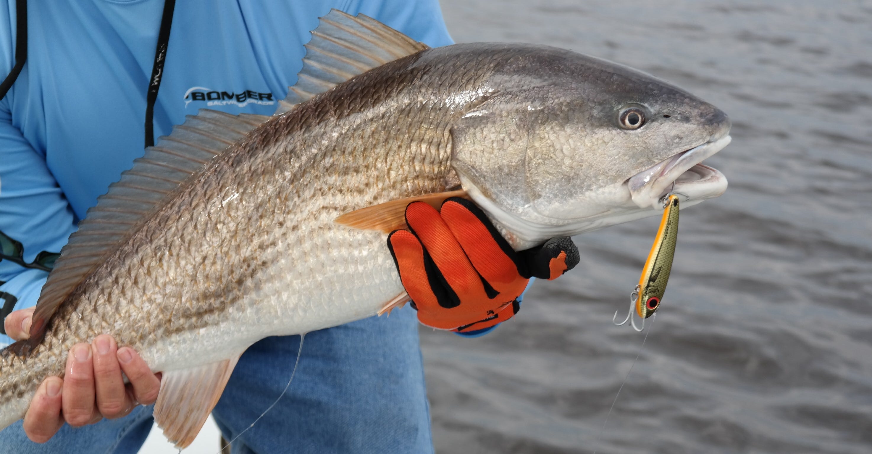 redfish and fish handling glove