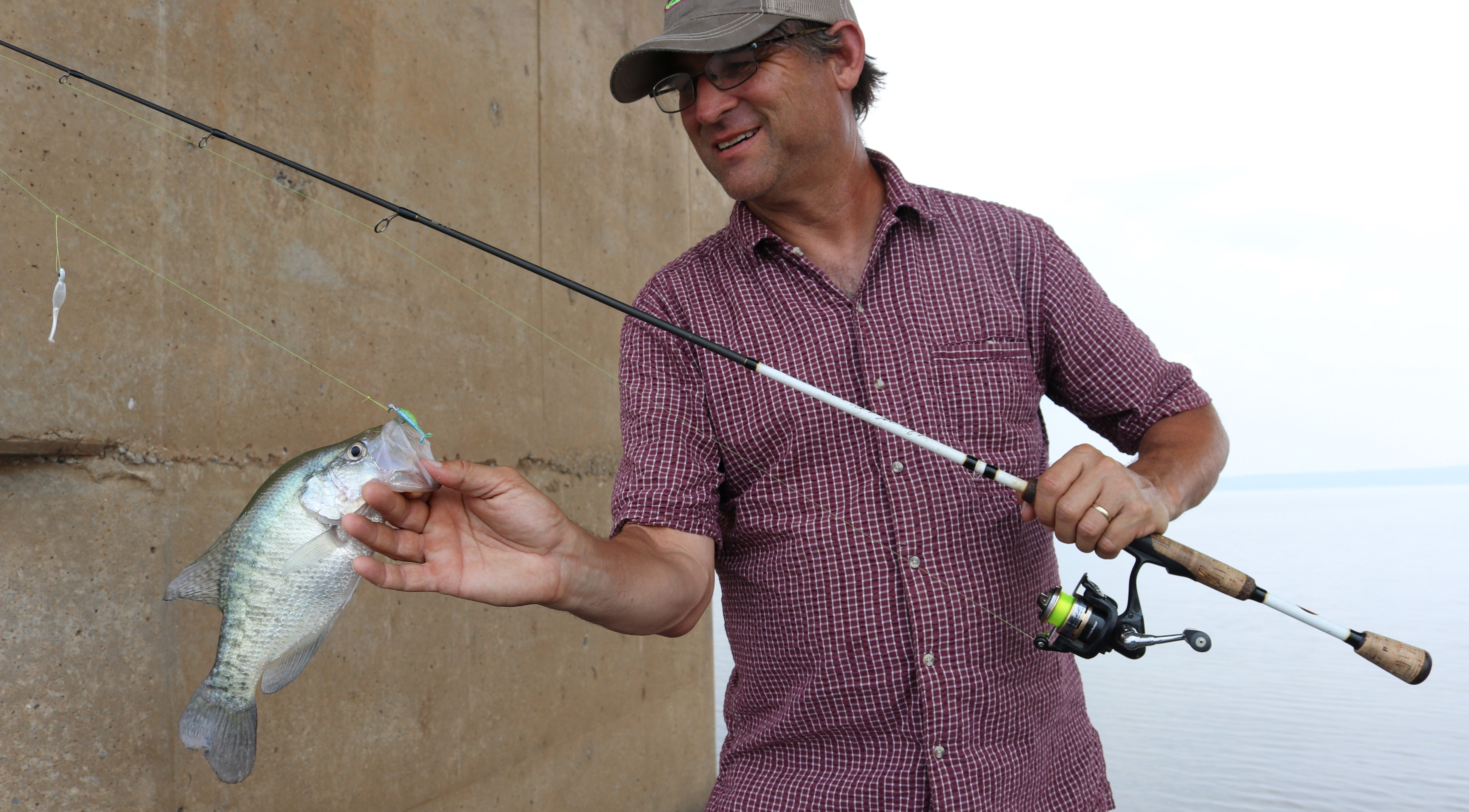 bridge crappie