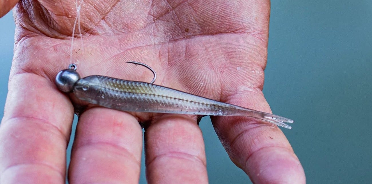 The Best Bass Bait for Tough Winter Conditions