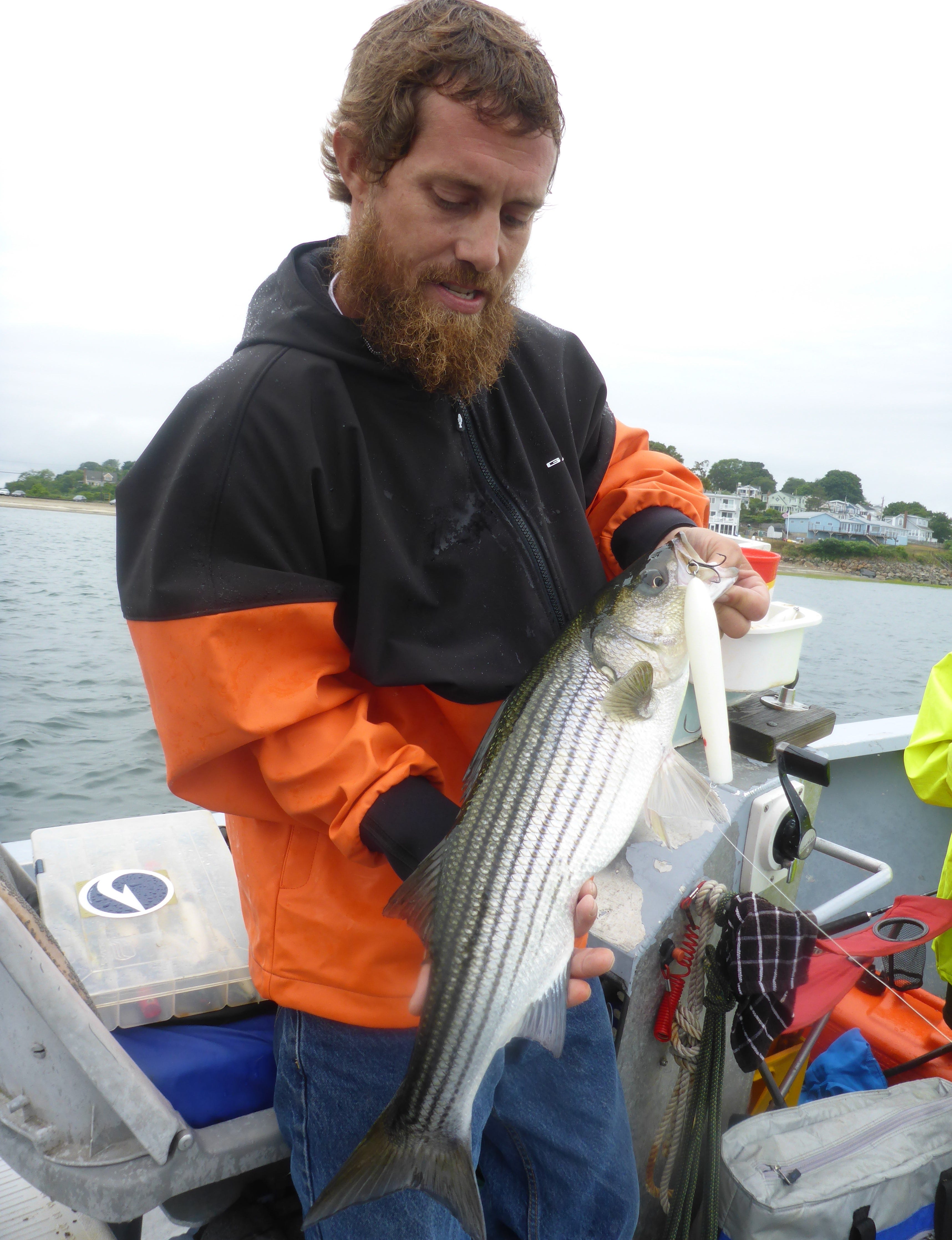 striped bass on topwater lure