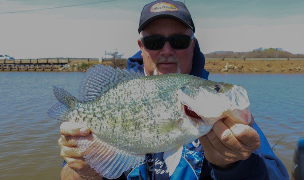 Winter Crappie Catch