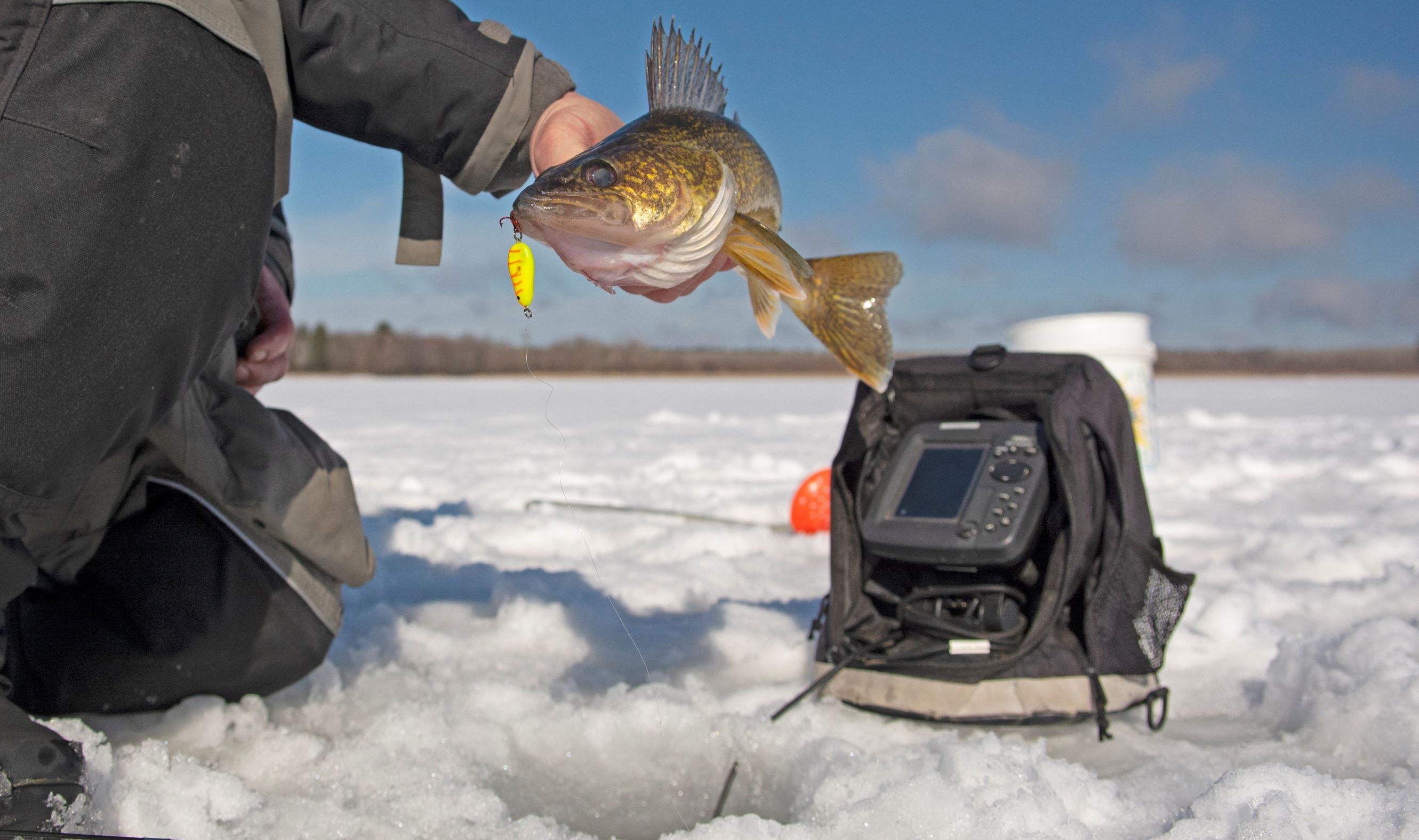 walleye on Lindy Glow Spoon