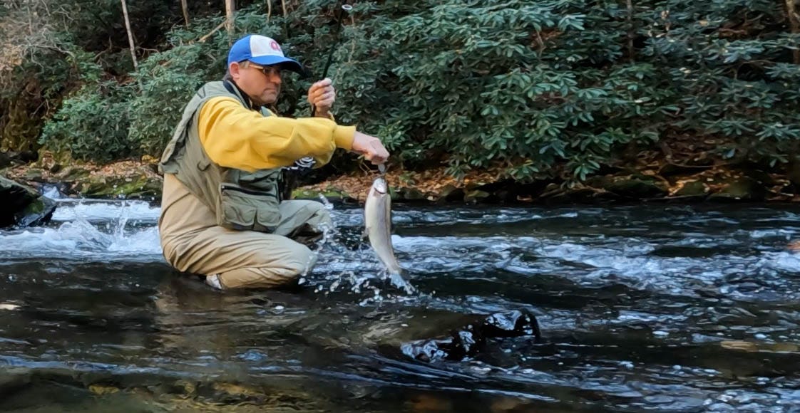 rainbow trout catch