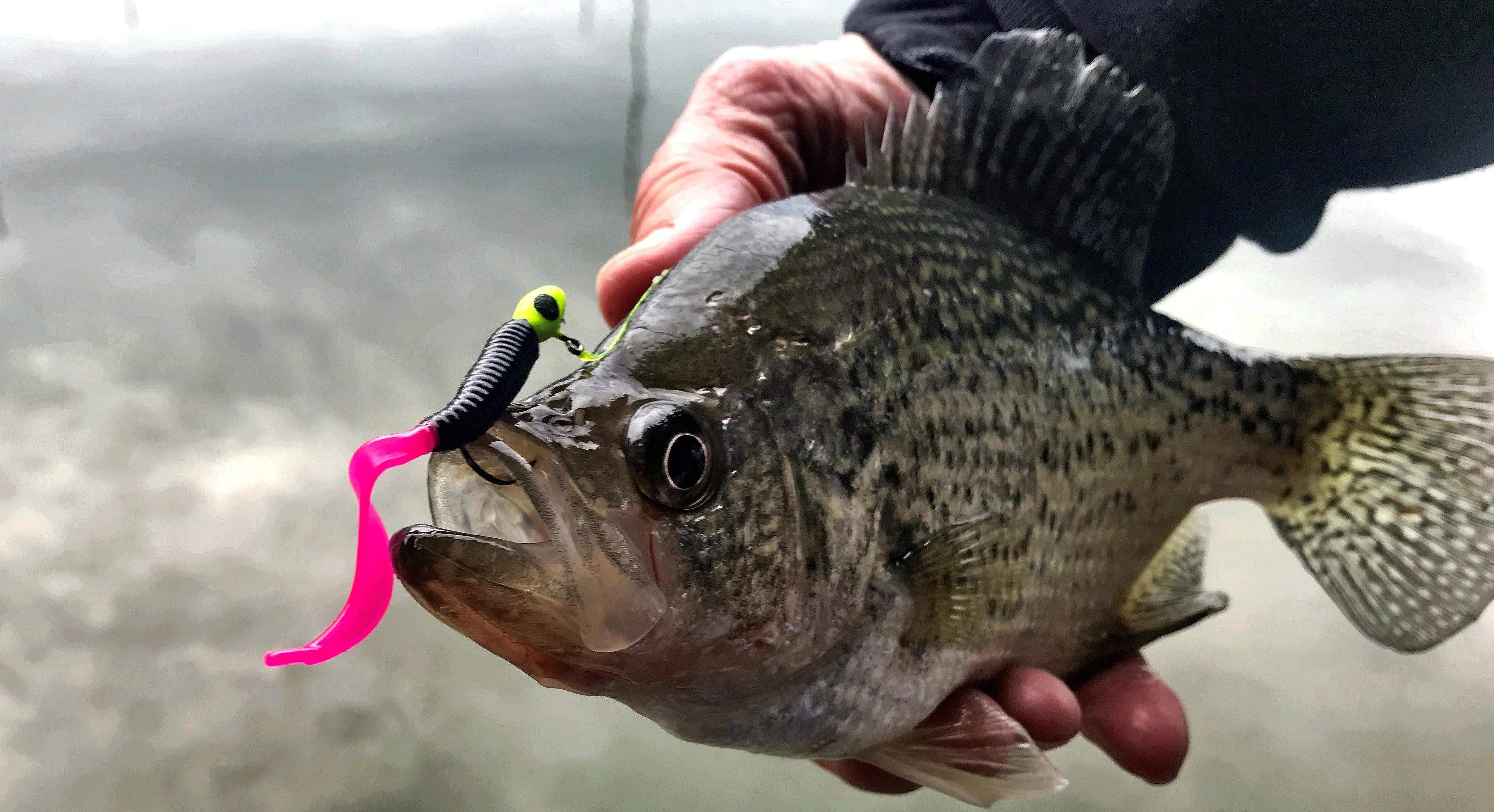 Crappie of Bobby Garland Hyper Grub