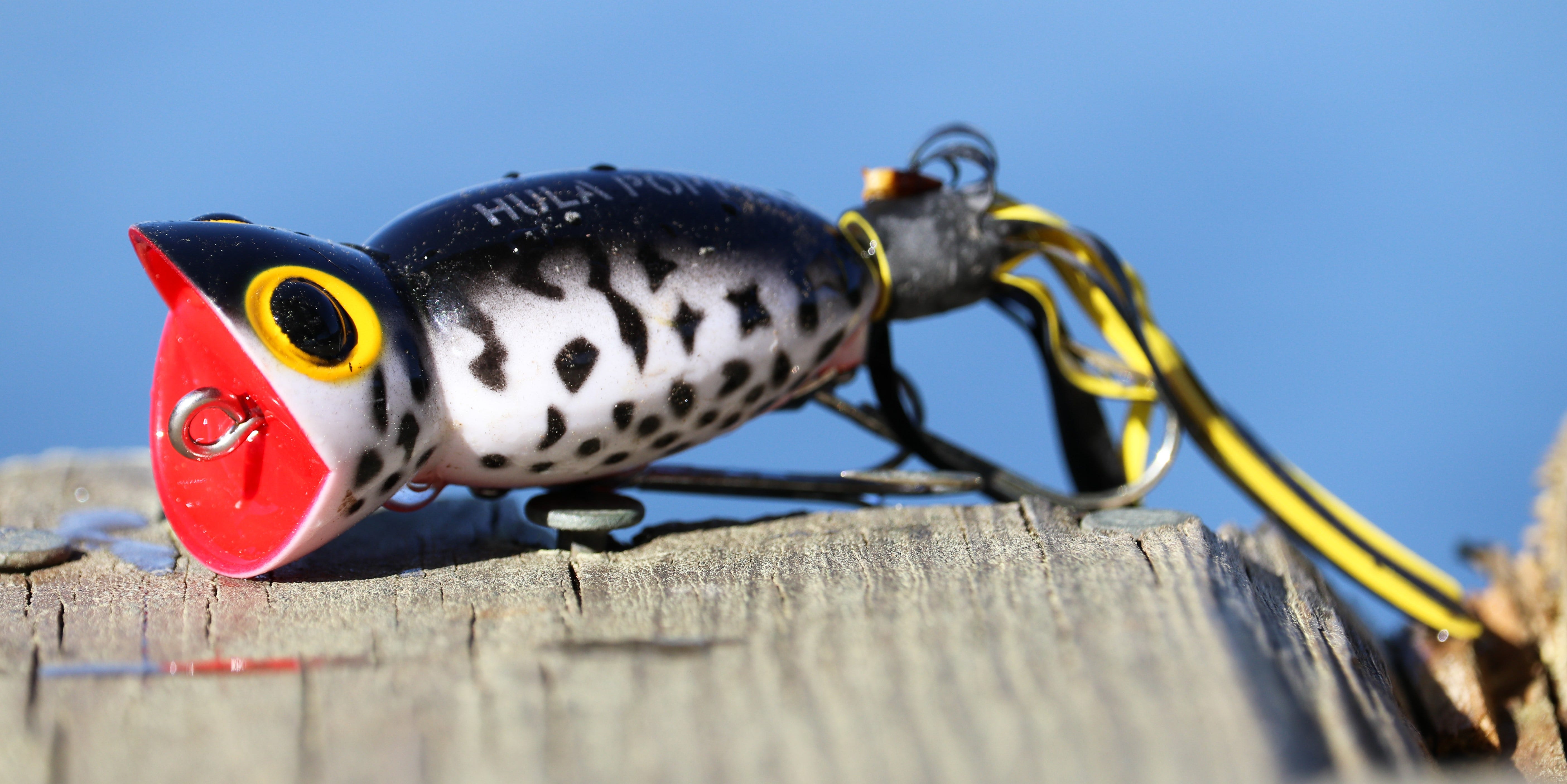 Hula Popper