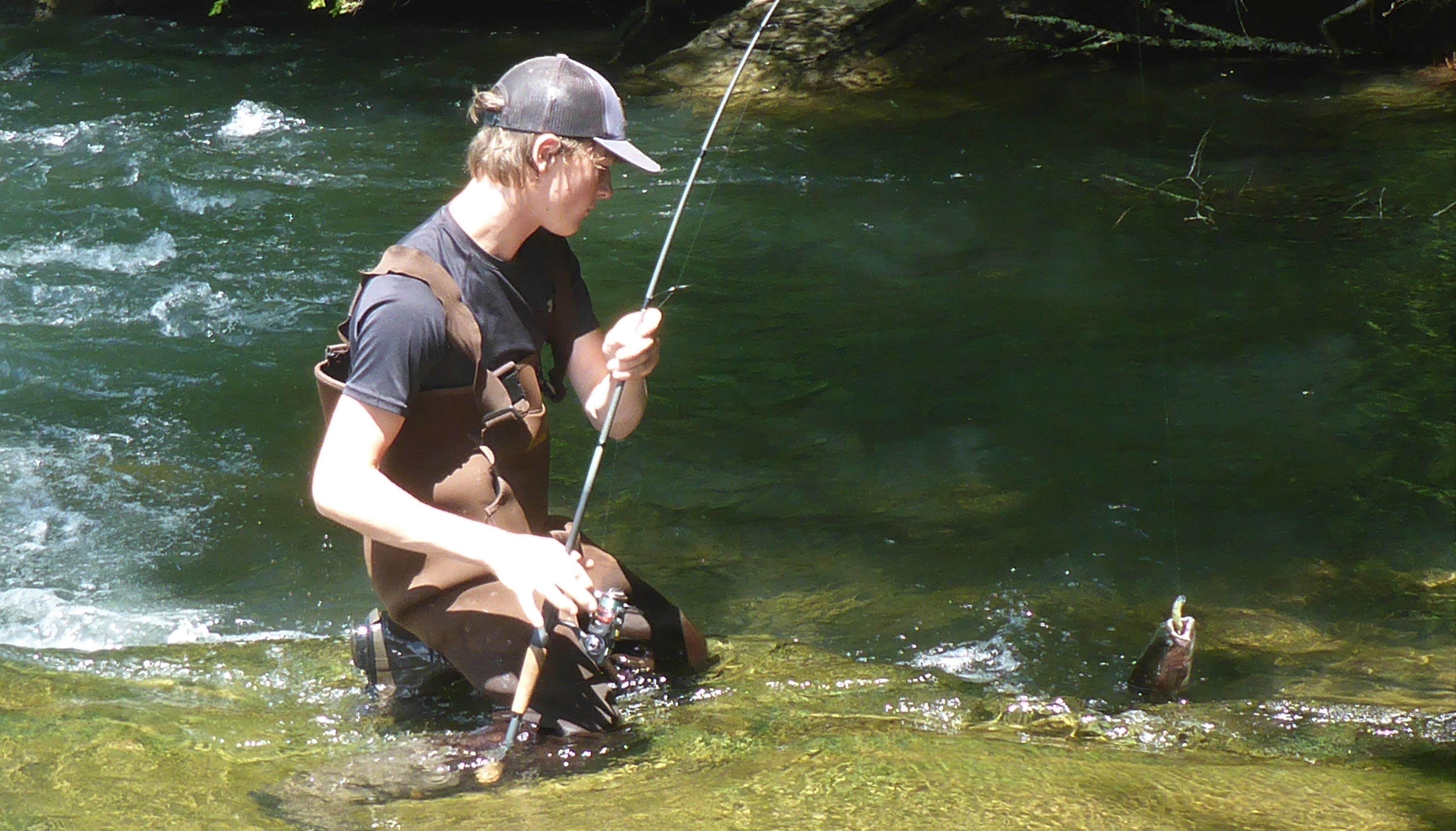 trout landing