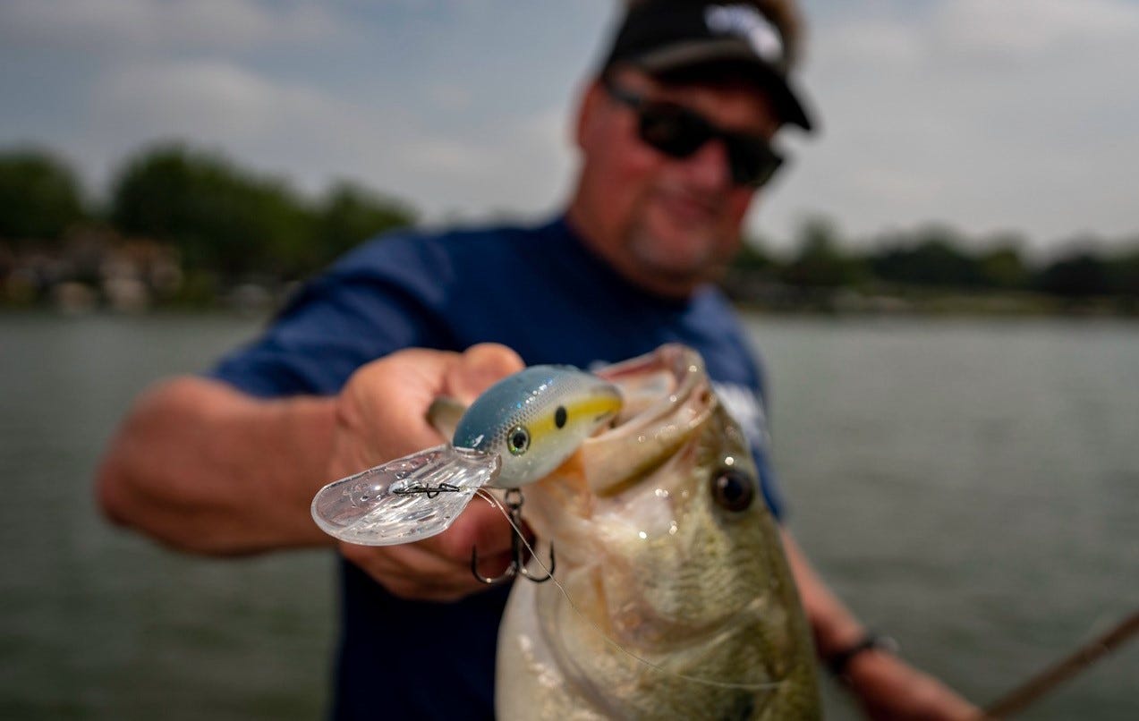 bass on Fat Free Shad crankbait