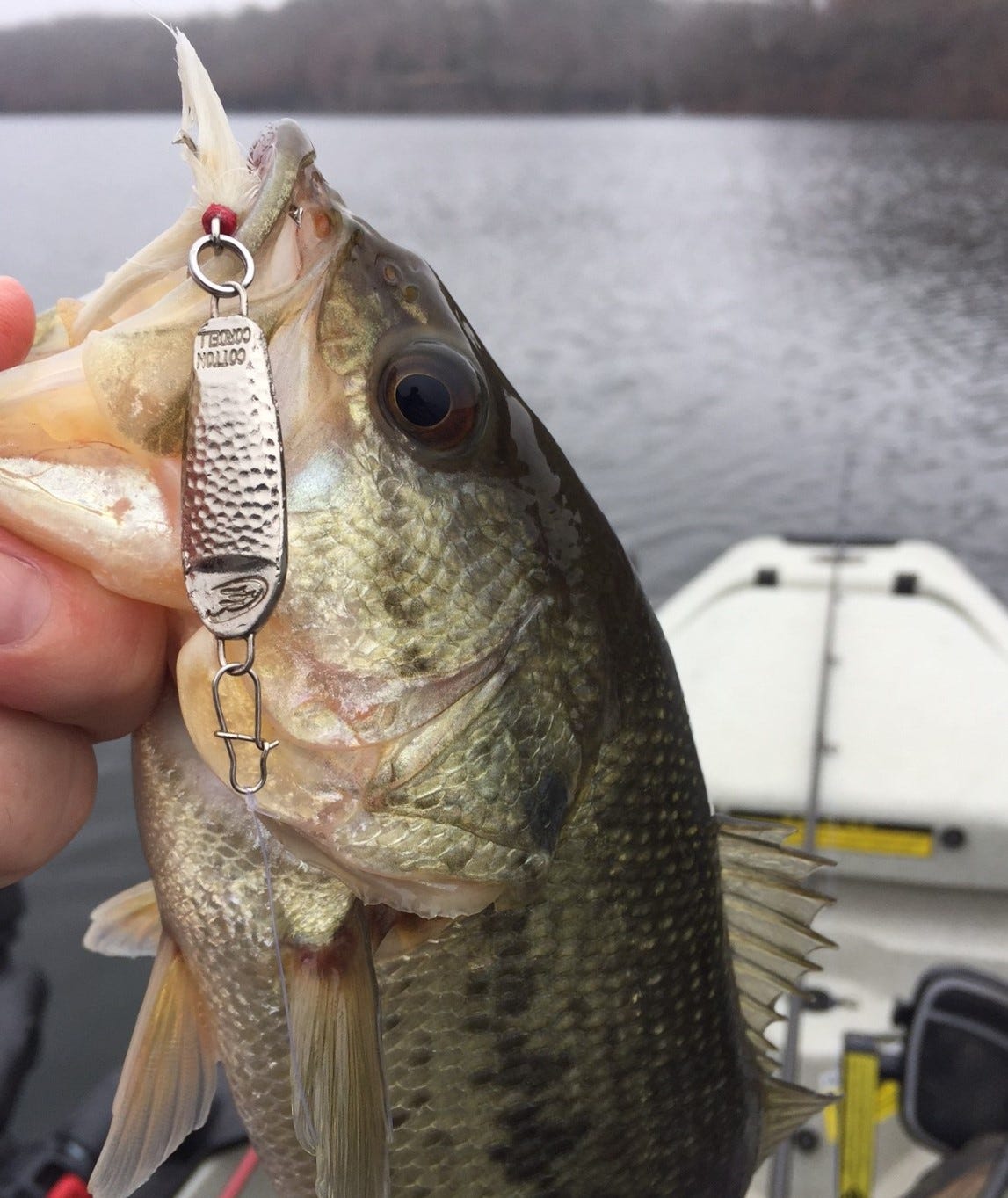 Jig a Spoon for Wintertime Bass