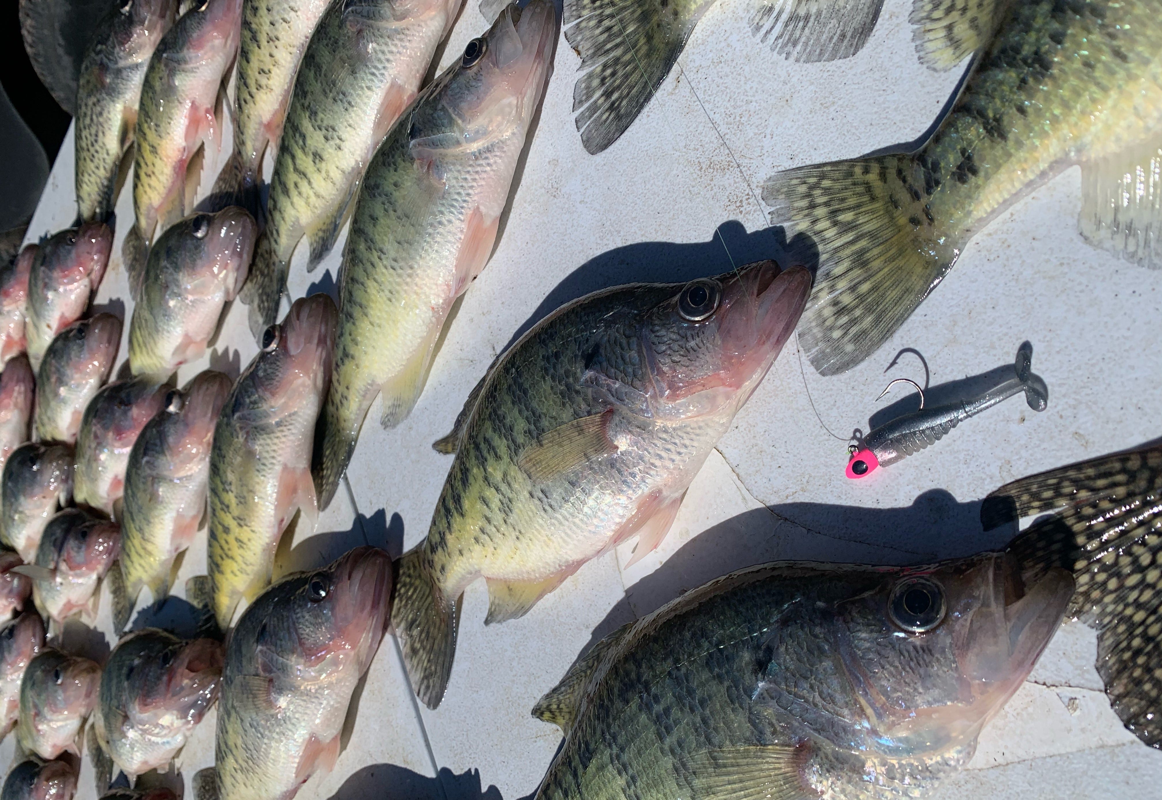 Catching the First Crappie Spawners