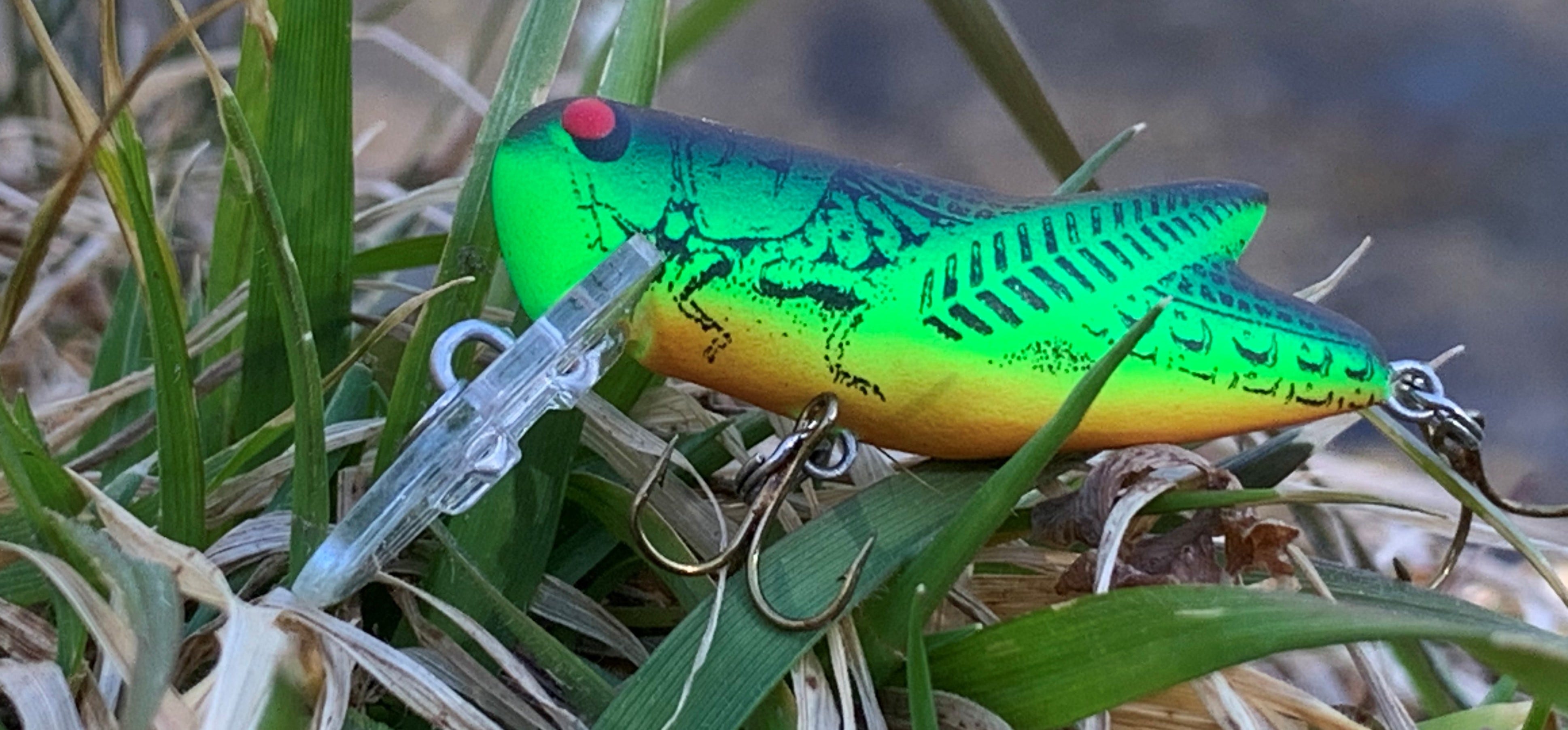 Catch Your Biggest Trout Using Grasshopper and Cricket Patterns