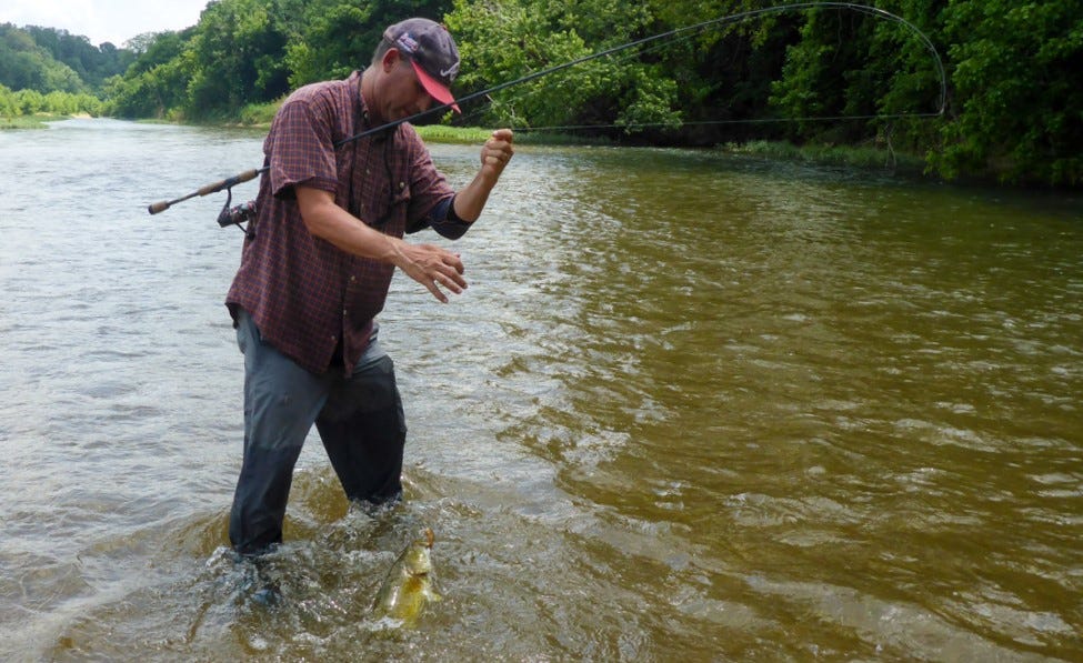 smallmouth bass catch