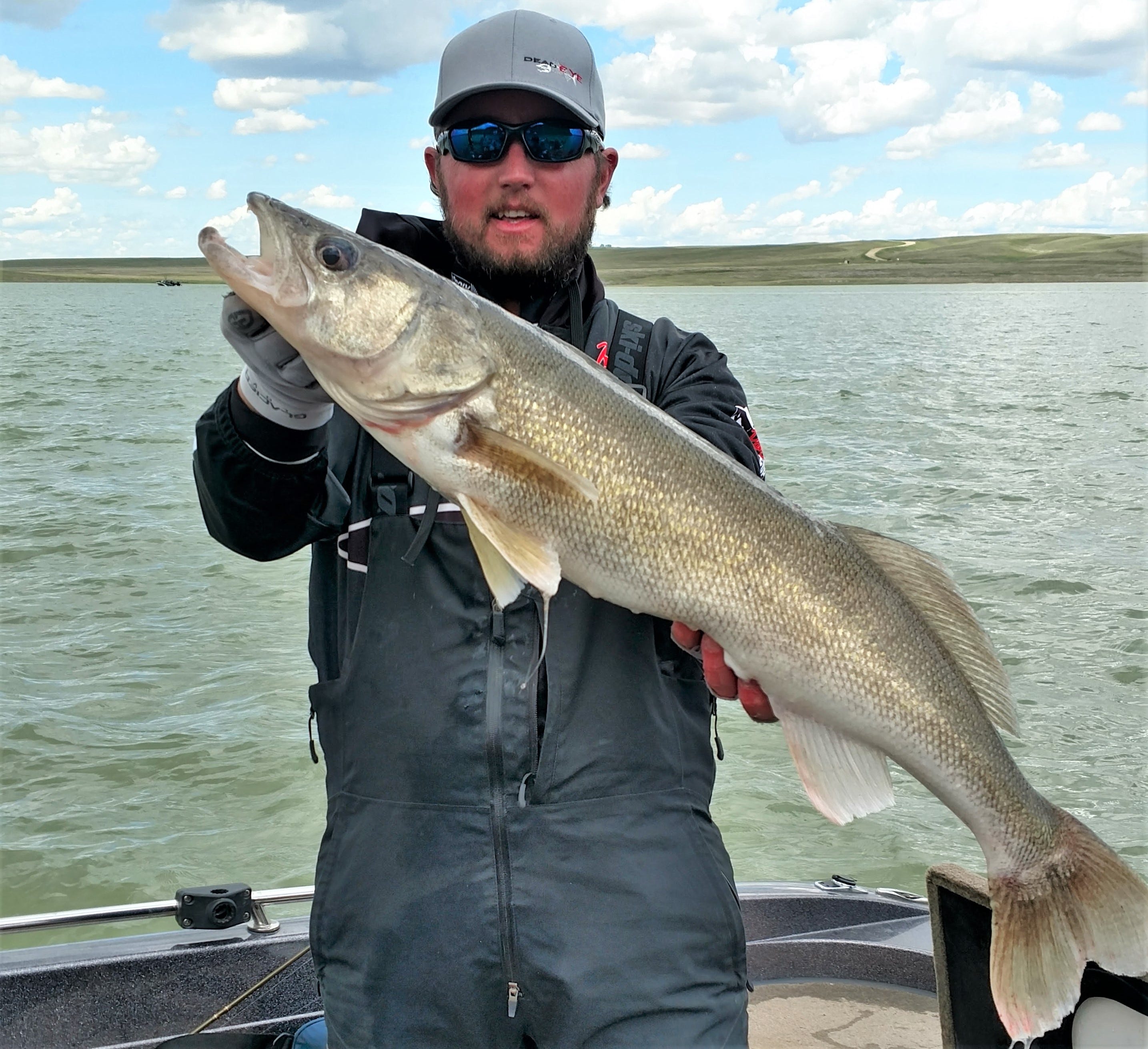 big live bait walleye