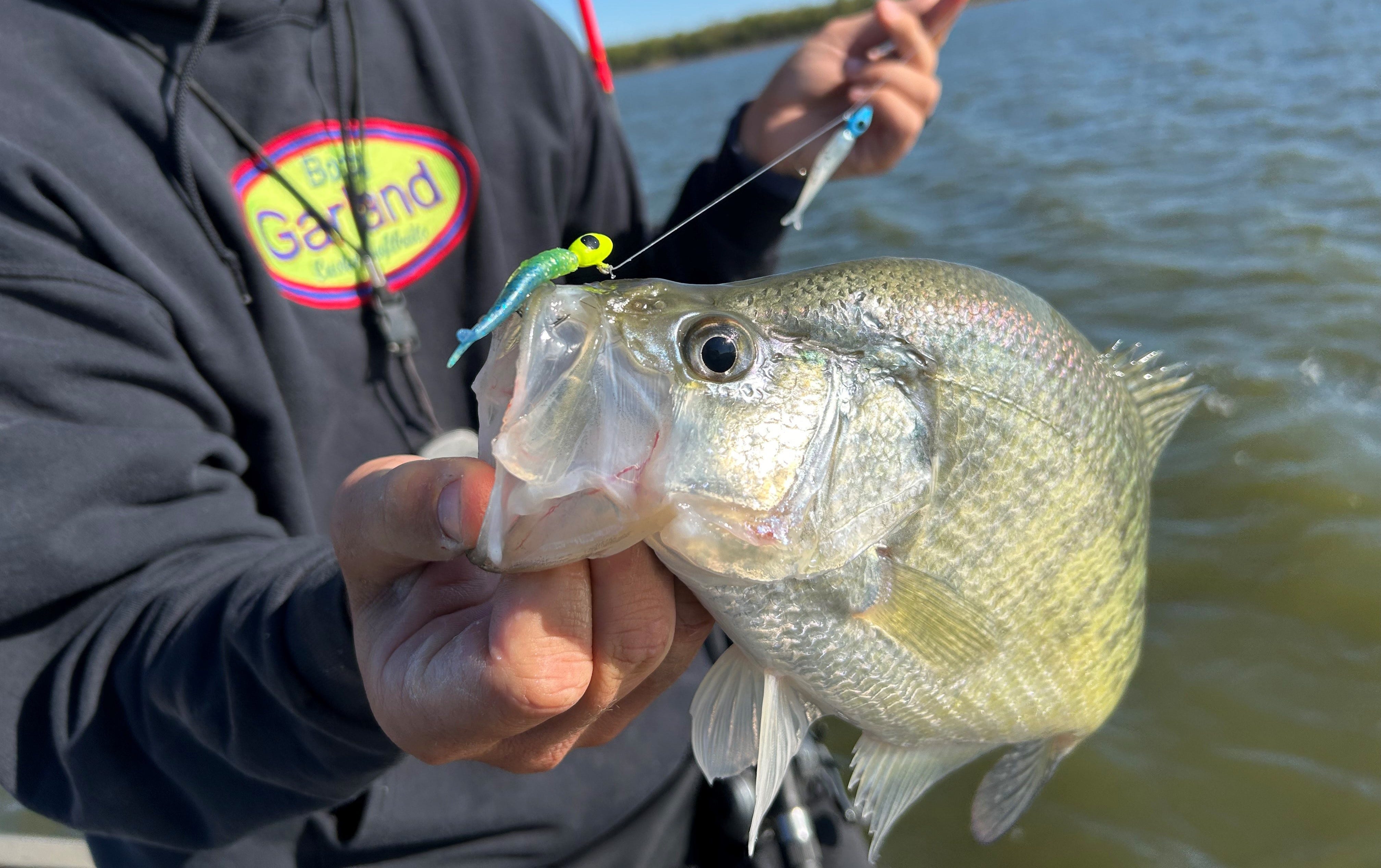 crappie catch on tadem rig