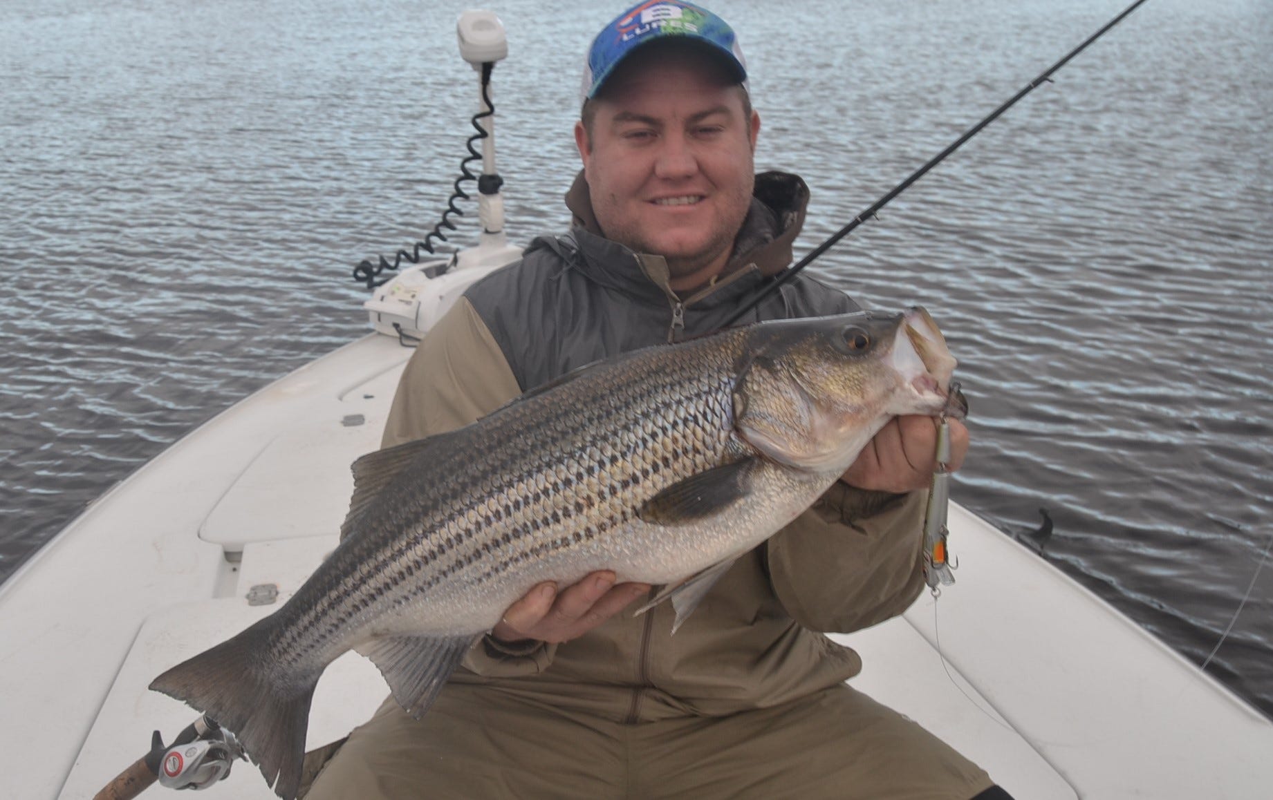 striped bass catch