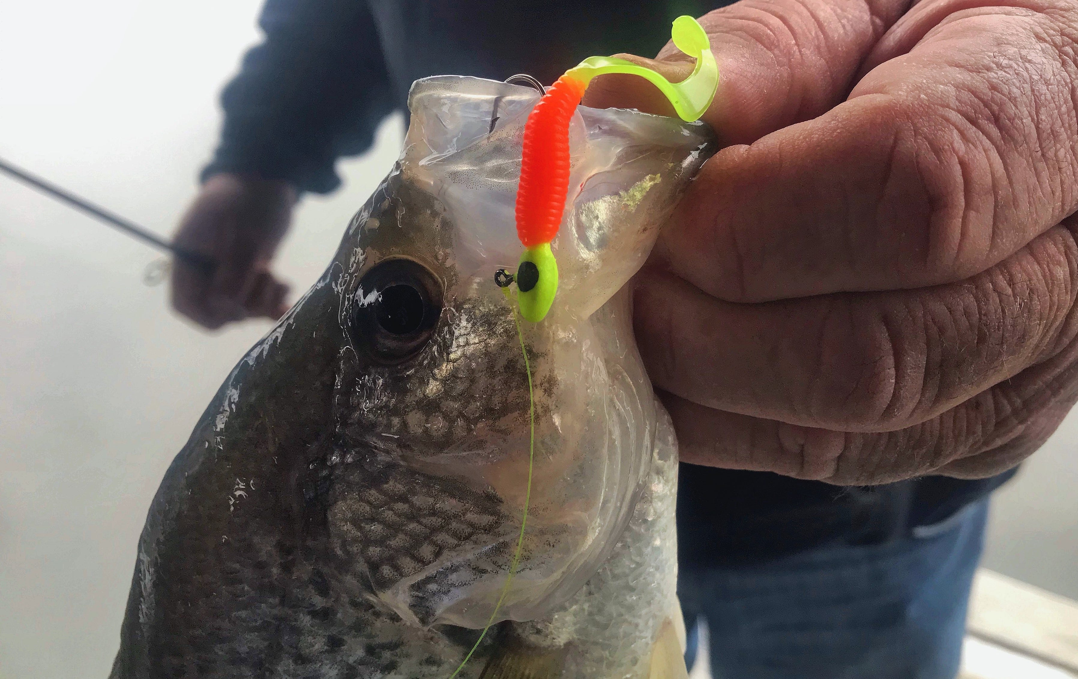 crappie on hyper grub