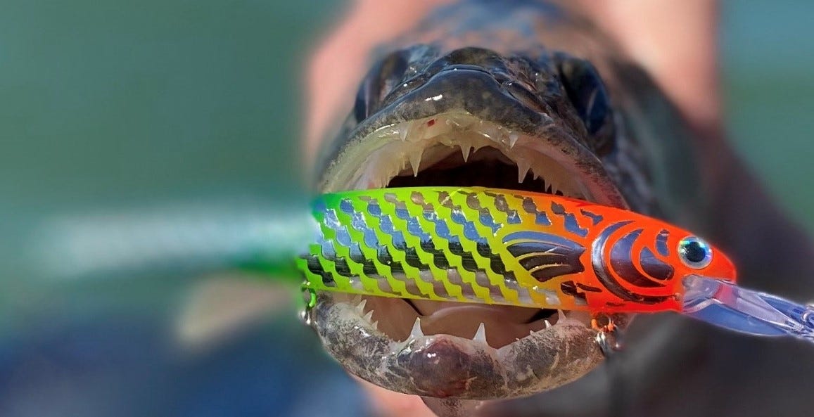 How to Improve Your Trolling and Catch More Fish
