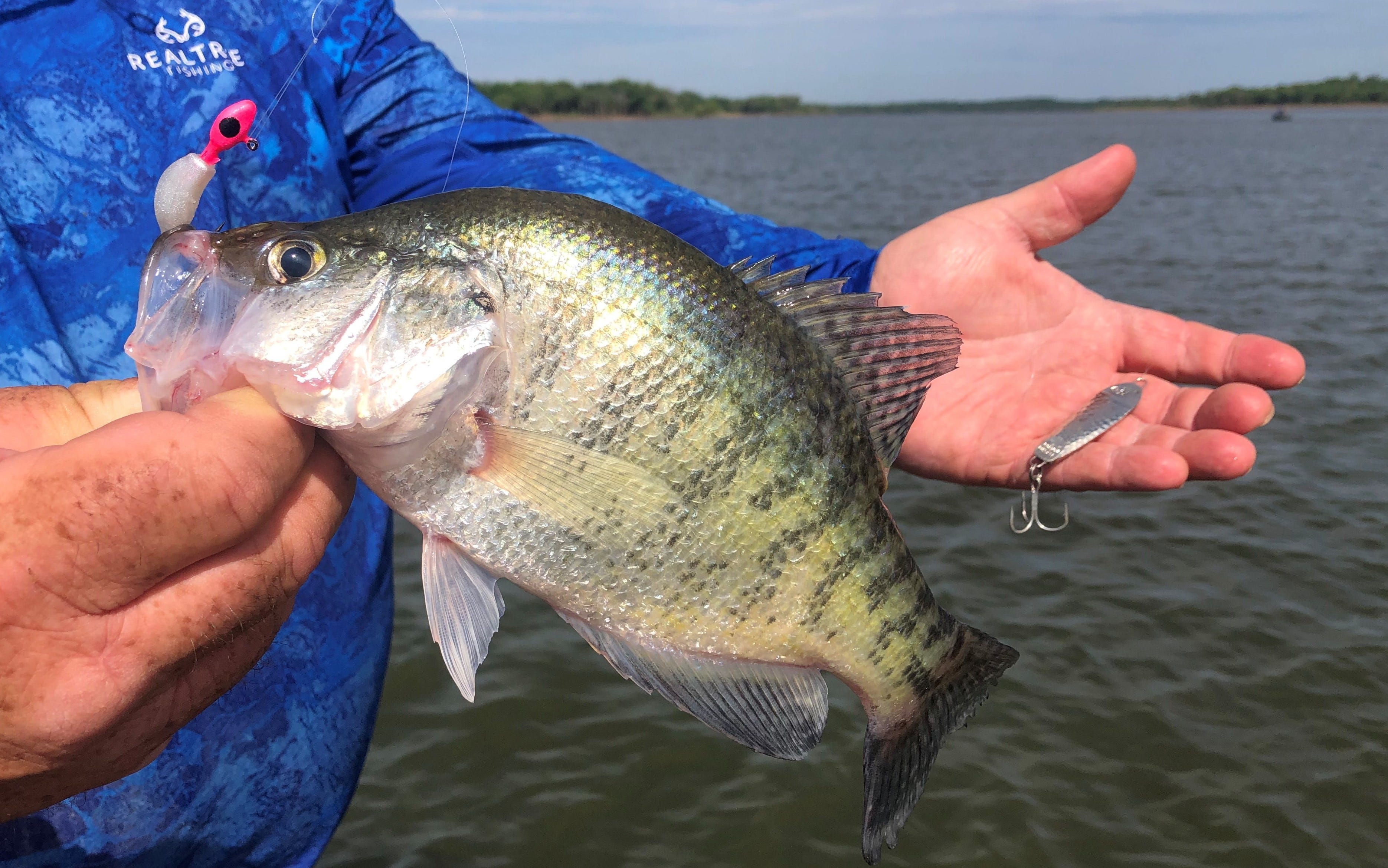 crappie on spoon-jig rig