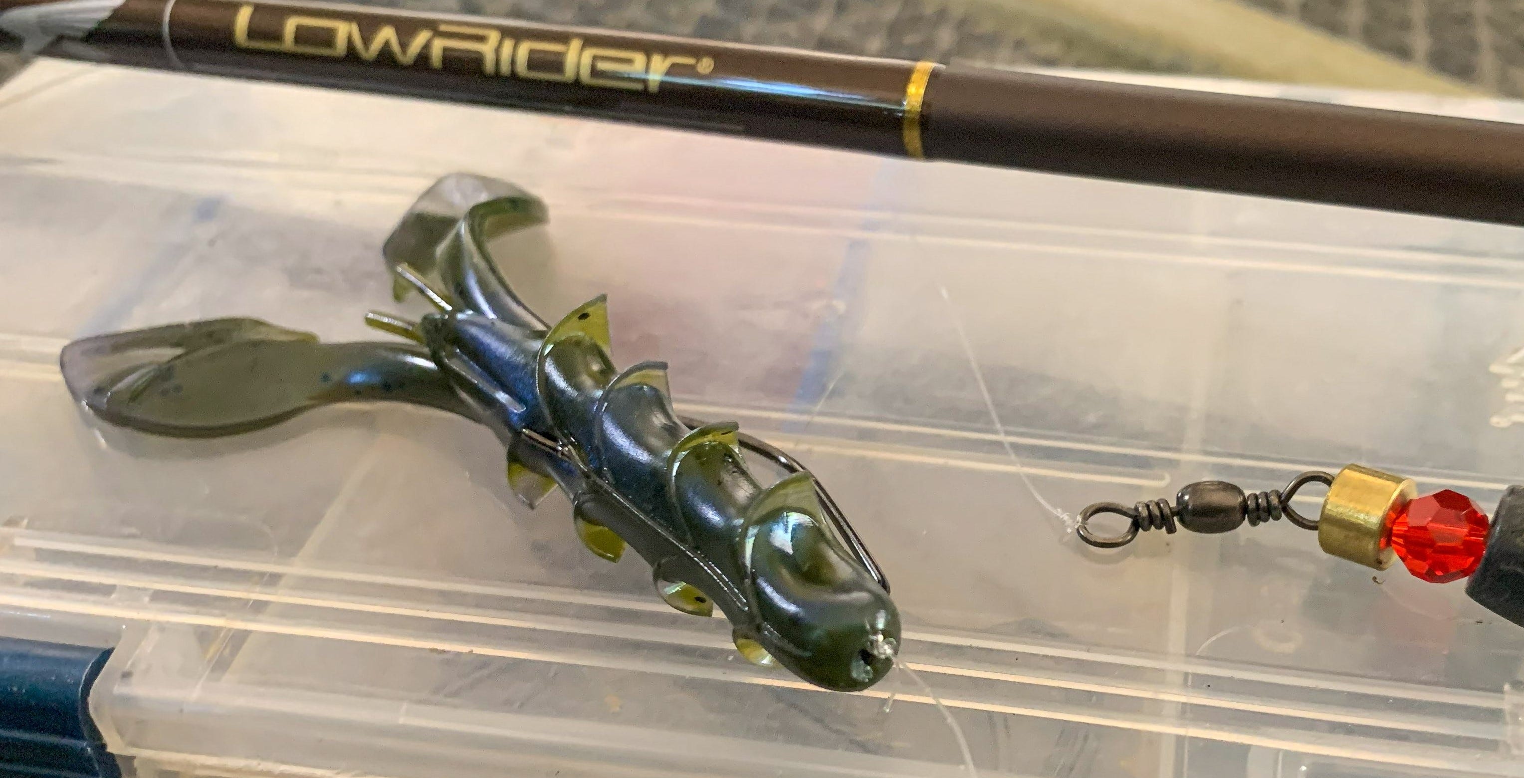 Carolina rigged Spine Craw