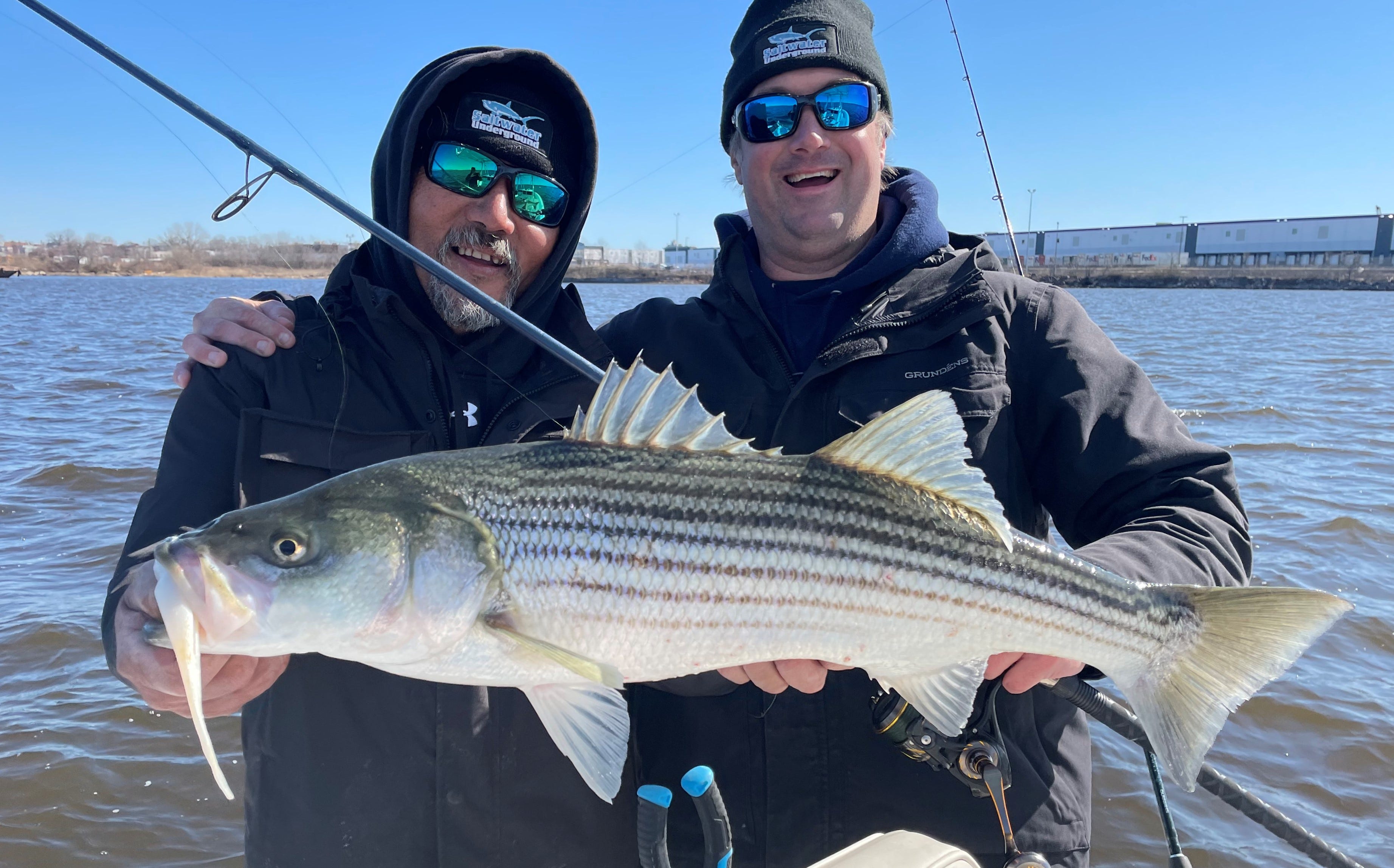 striped bass caught on jig