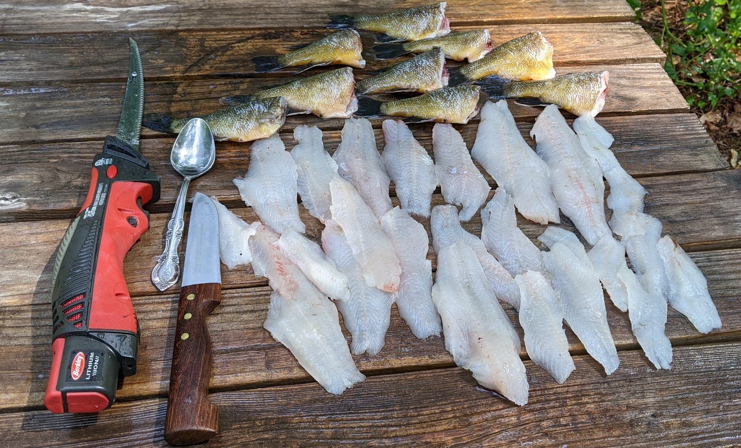 fish ready for cooking