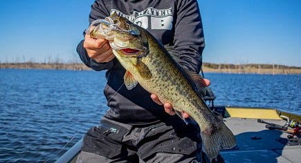 bass on Covert Finesse Spinnerbait