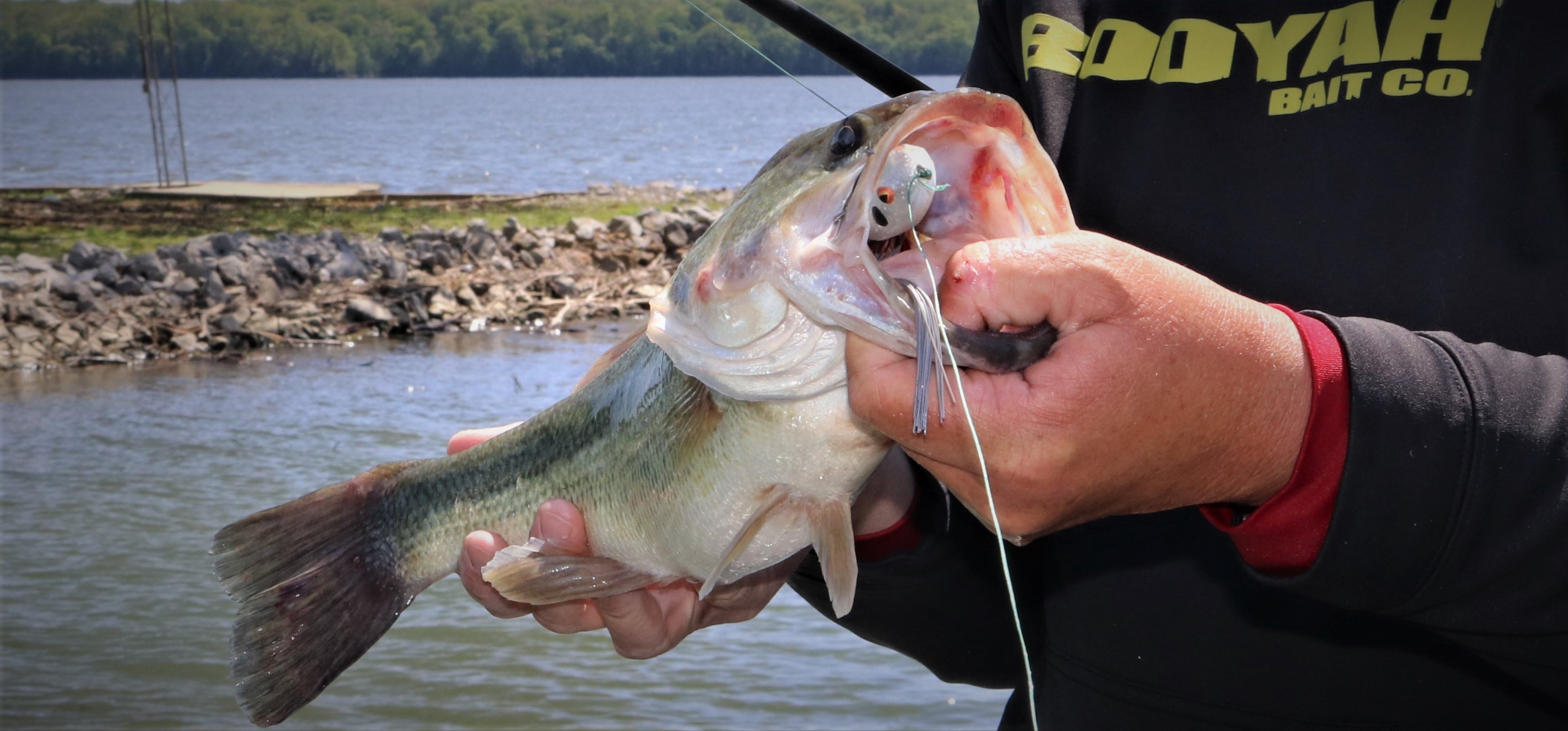 largemouth bass on Disco Ball Pad Crasher