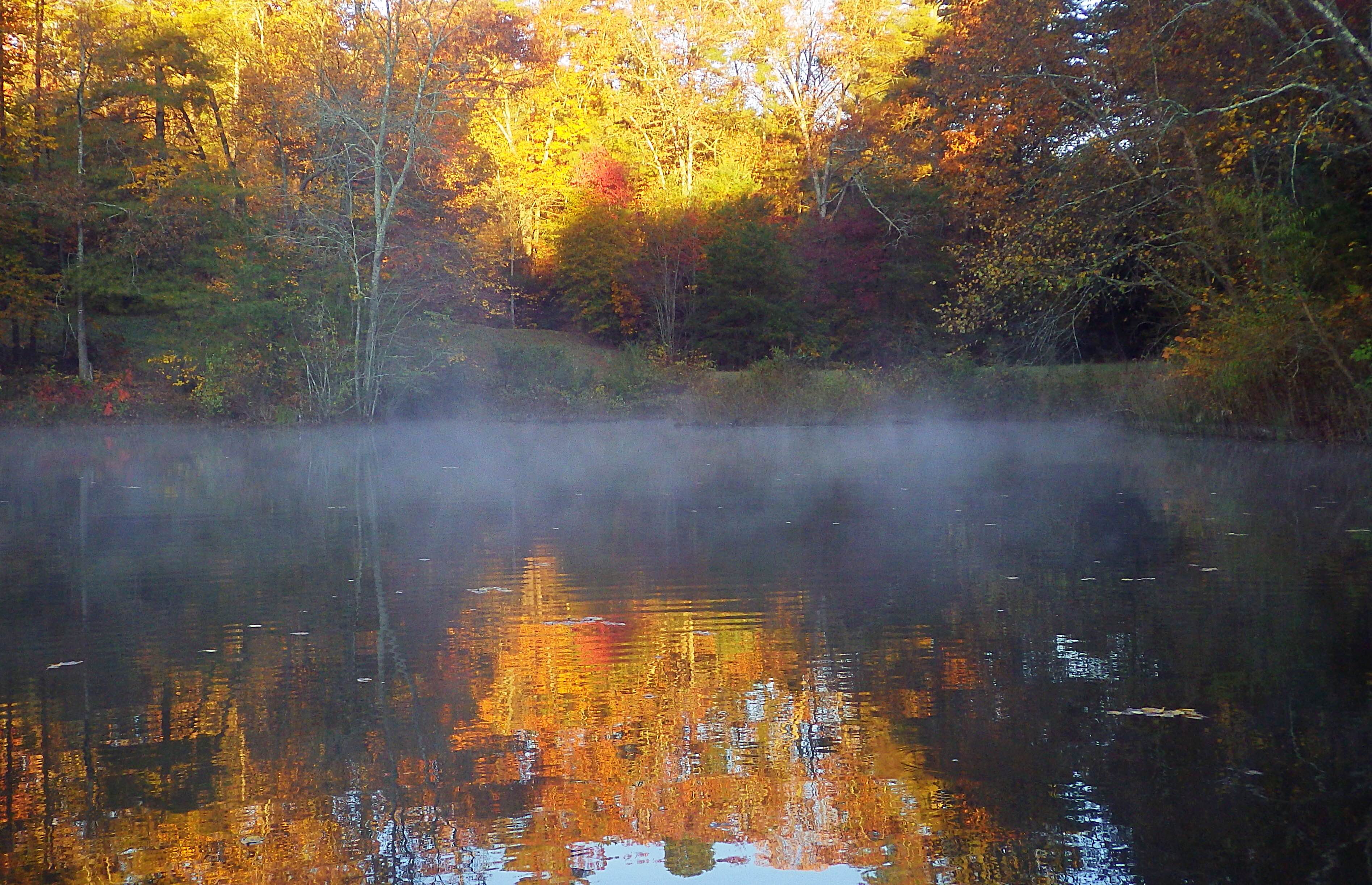 autumn pond