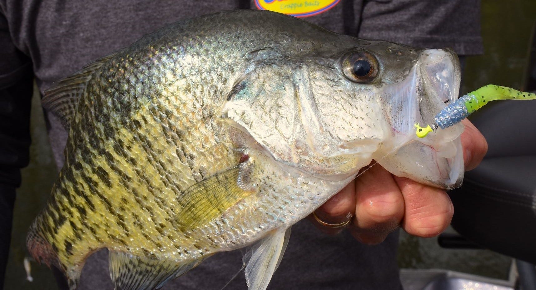 crappie on Itty Bit Slab Slay'R