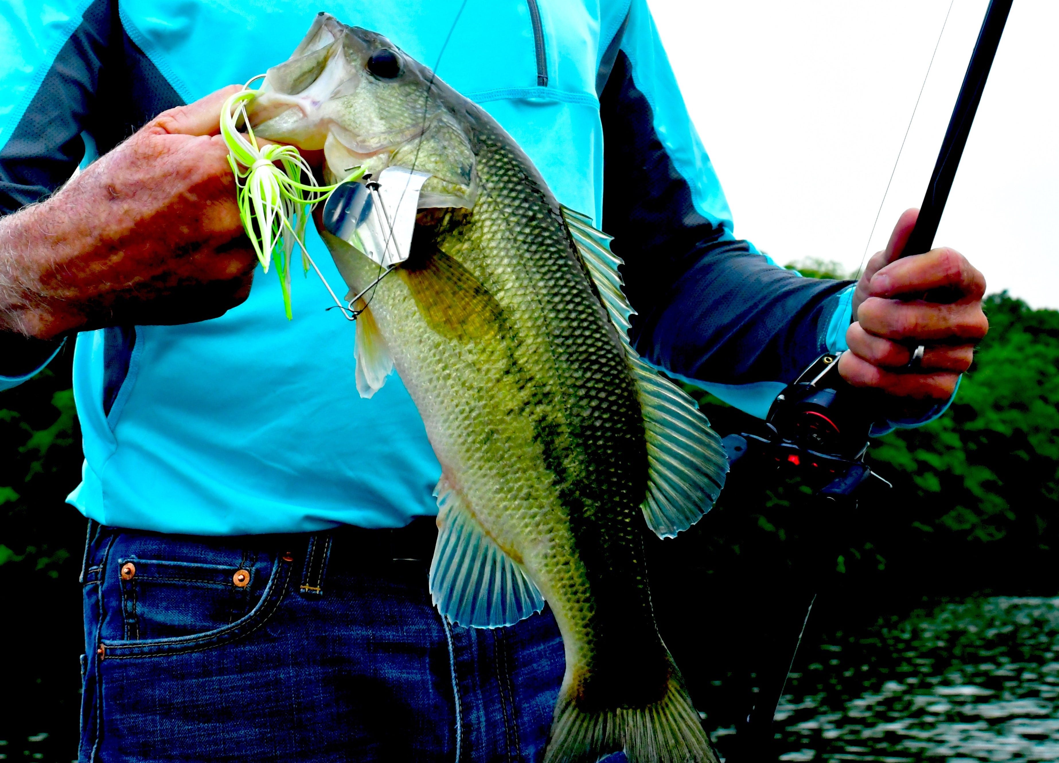 Catch More Bass from Summer Vegetation