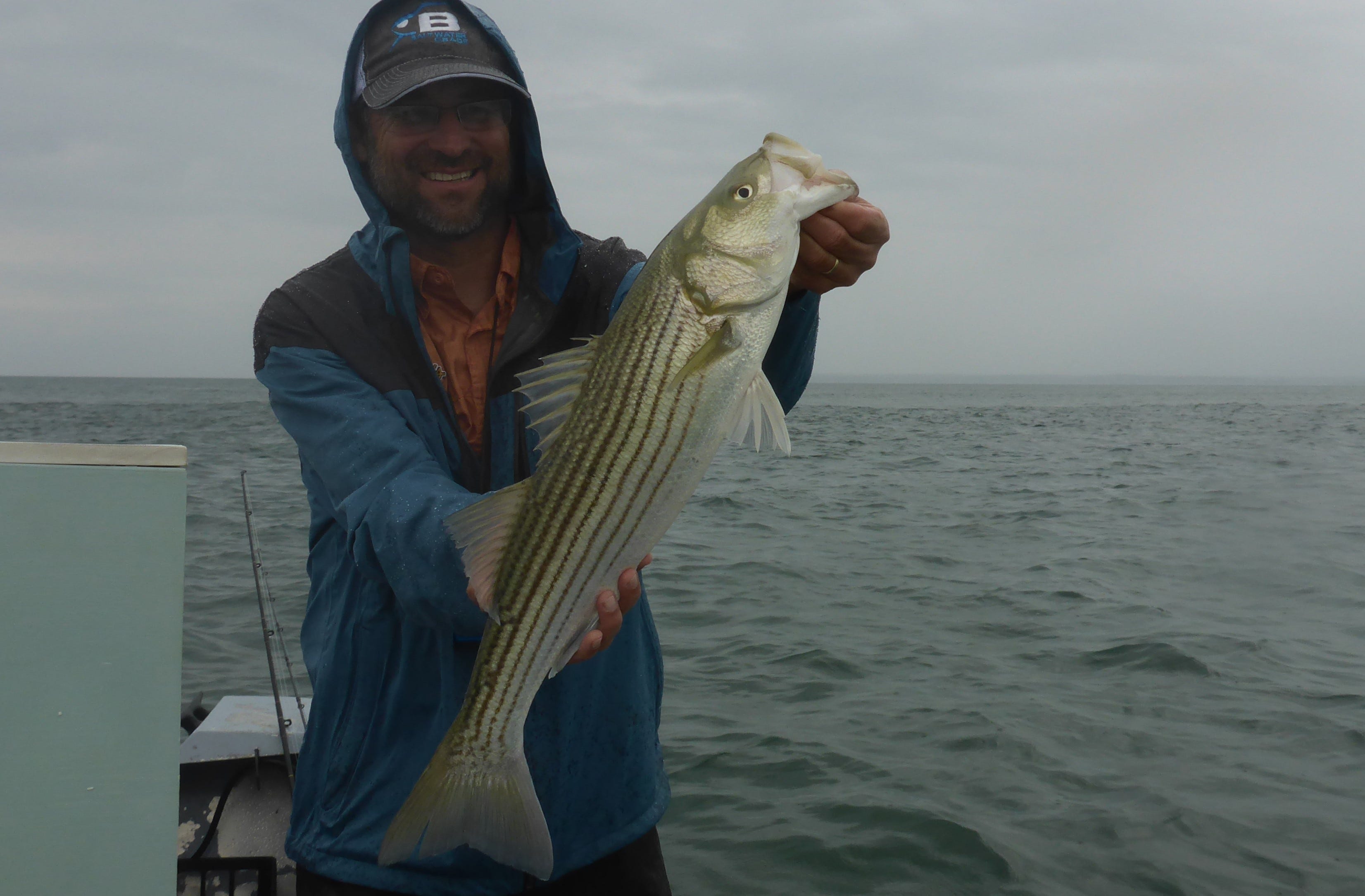 Walk the Dog Topwater Tactics for East Coast Stripers